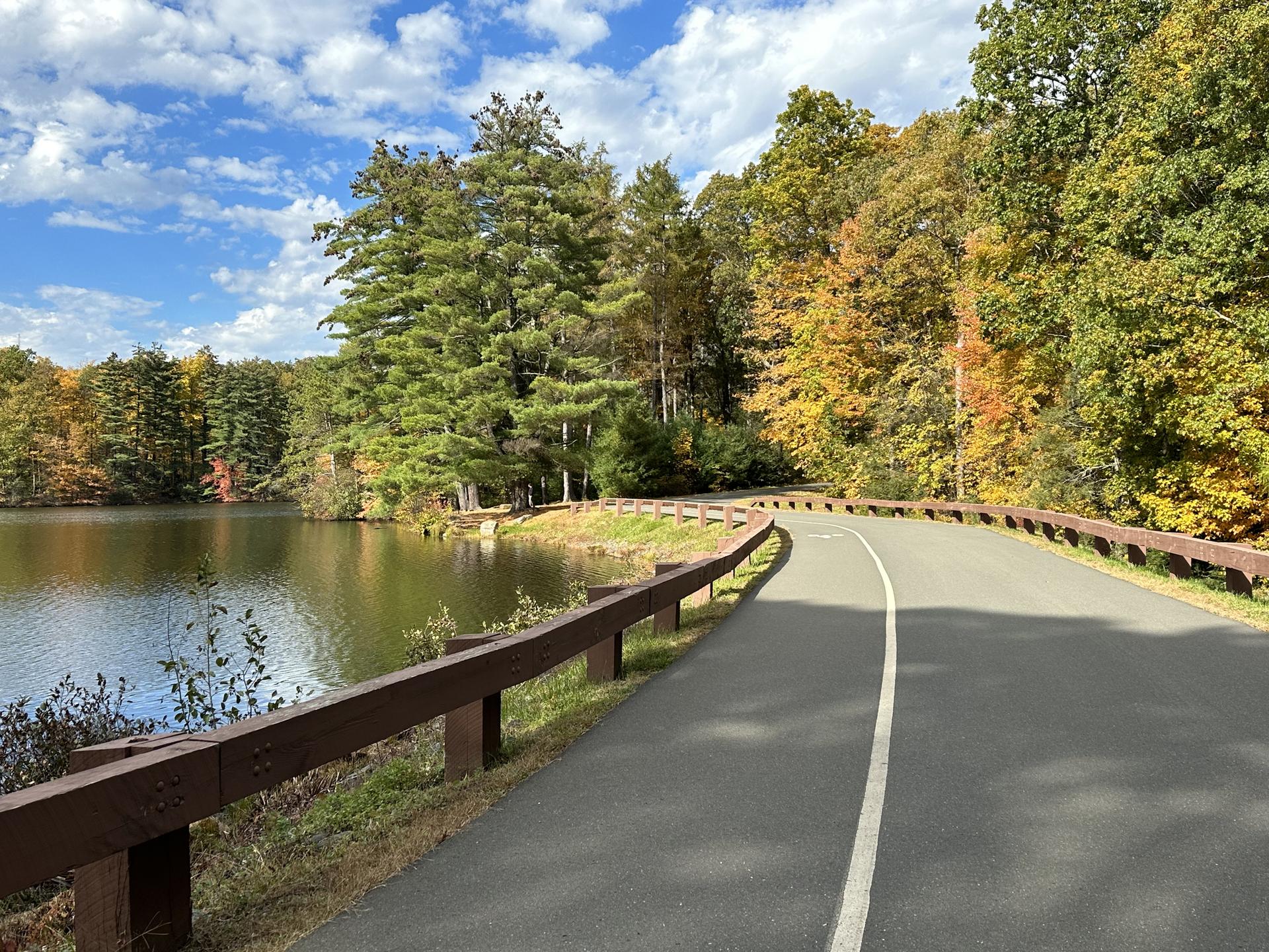 Paved path curves by a lake, autumn trees, and bright sky.