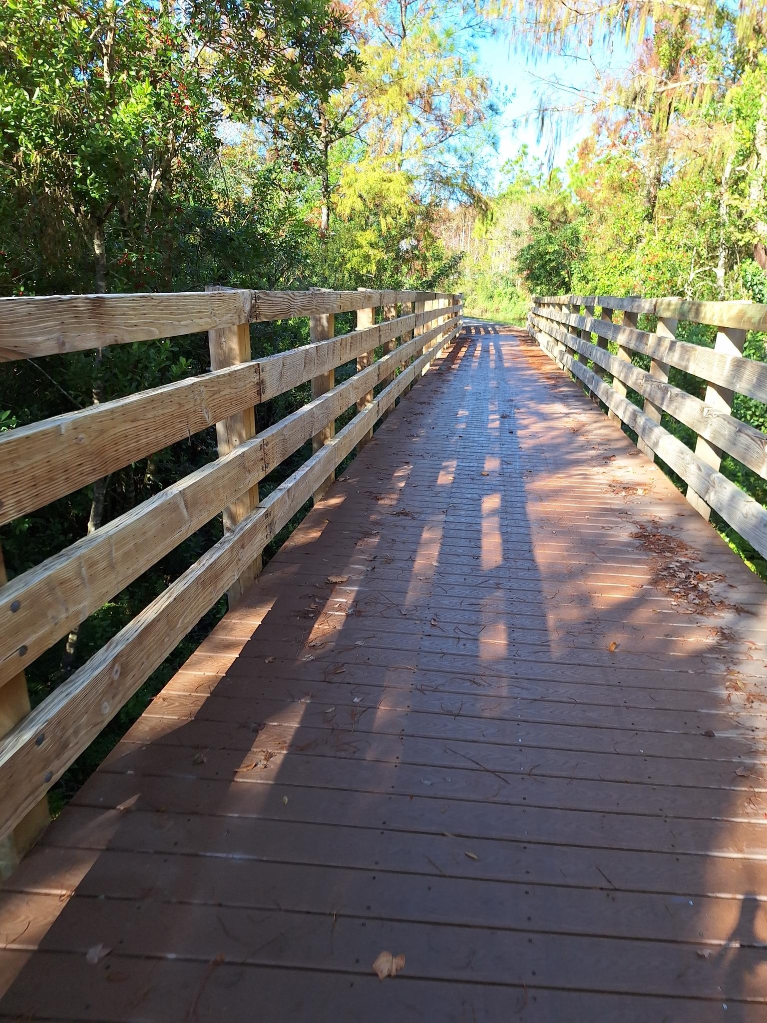 Long wooden boardwalk winding through a sun-dappled forest with green trees.