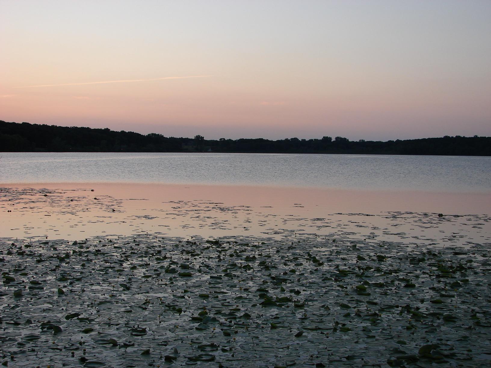 Calm lake with lily pads at dusk, soft pastel sky.