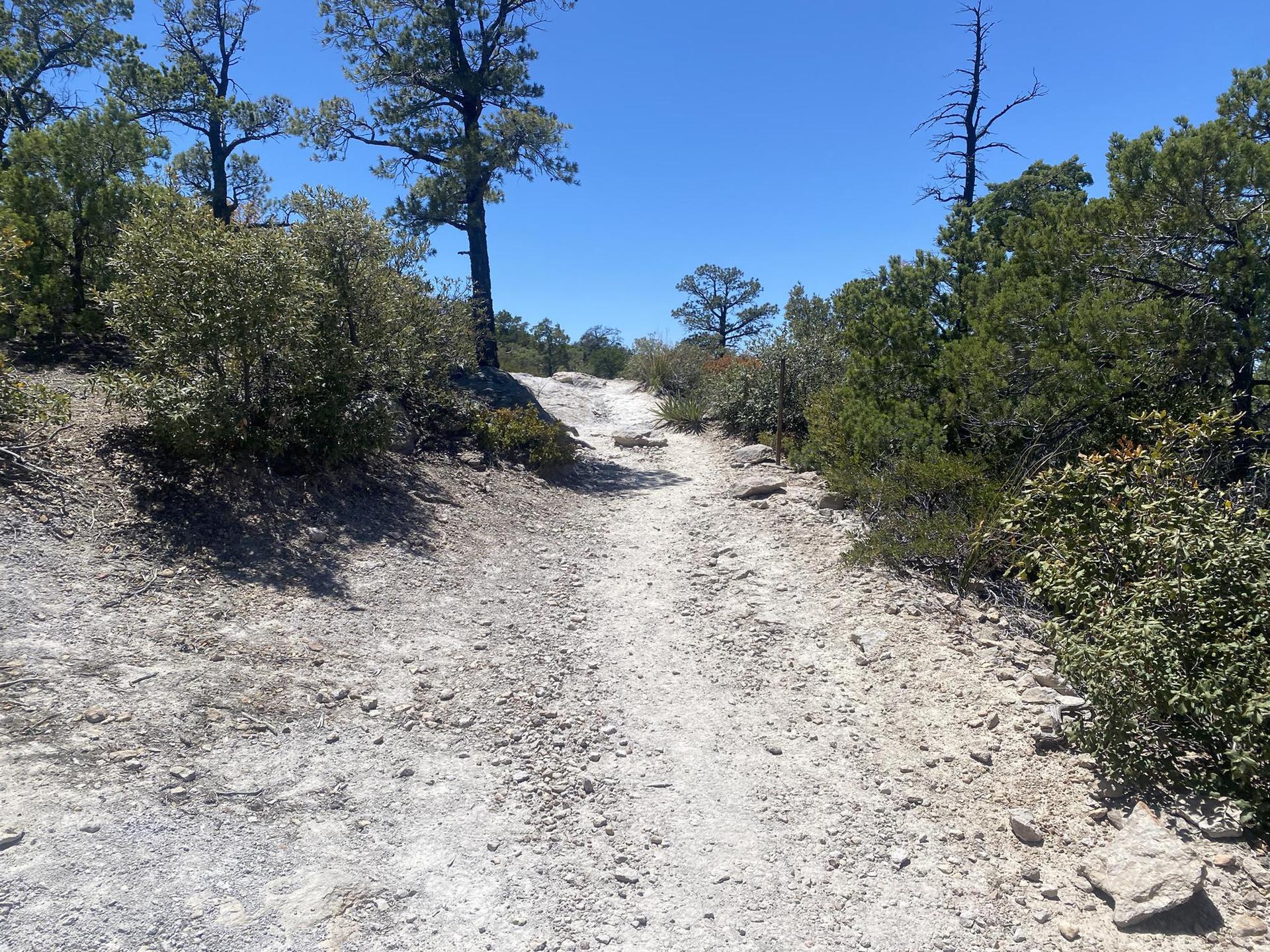 A wide, dusty path winds through dry, rocky terrain under a clear sky.