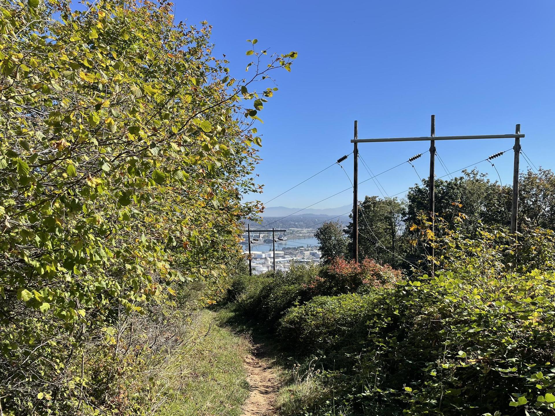 Sunny dirt path through green trees, overlooking a distant city and water.