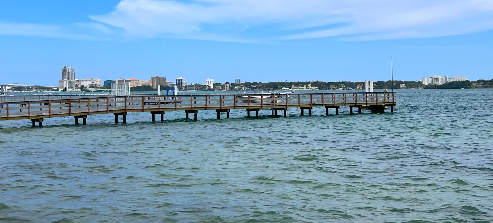 A long wooden pier extends over blue water towards a distant city skyline.