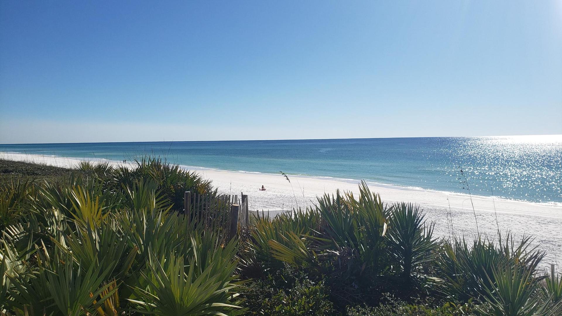 Sunny white sand beach with blue ocean and foreground plants, distant figures.