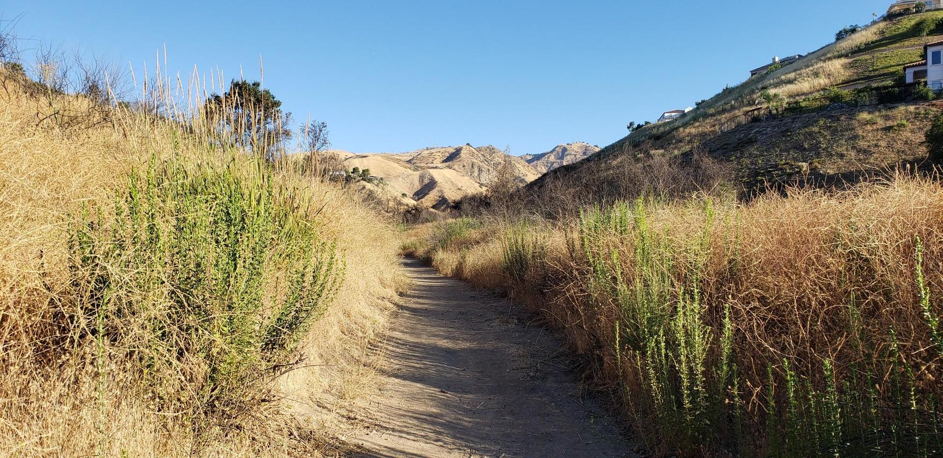 A dirt path winds through dry grass and green bushes, with hills beyond.