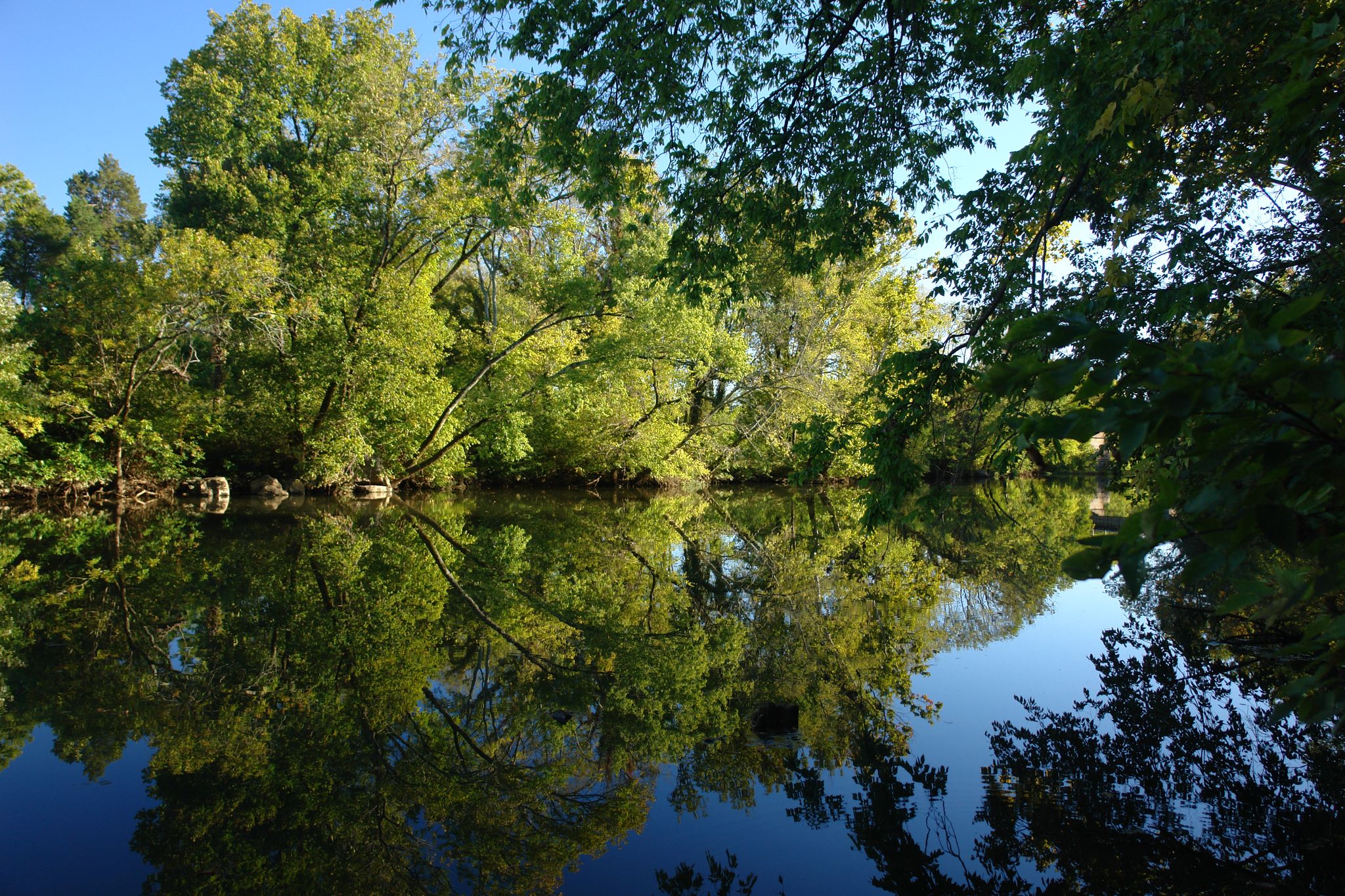 Lush green trees reflect perfectly in calm, sunlit river water. - Murfreesboro Greenway – Murfreesboro Greenway loop from Scales Elementary School