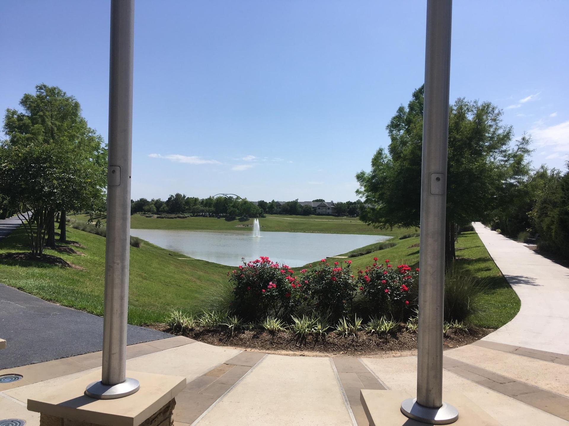 A lake with a fountain, surrounded by green grass and trees, on a sunny day.