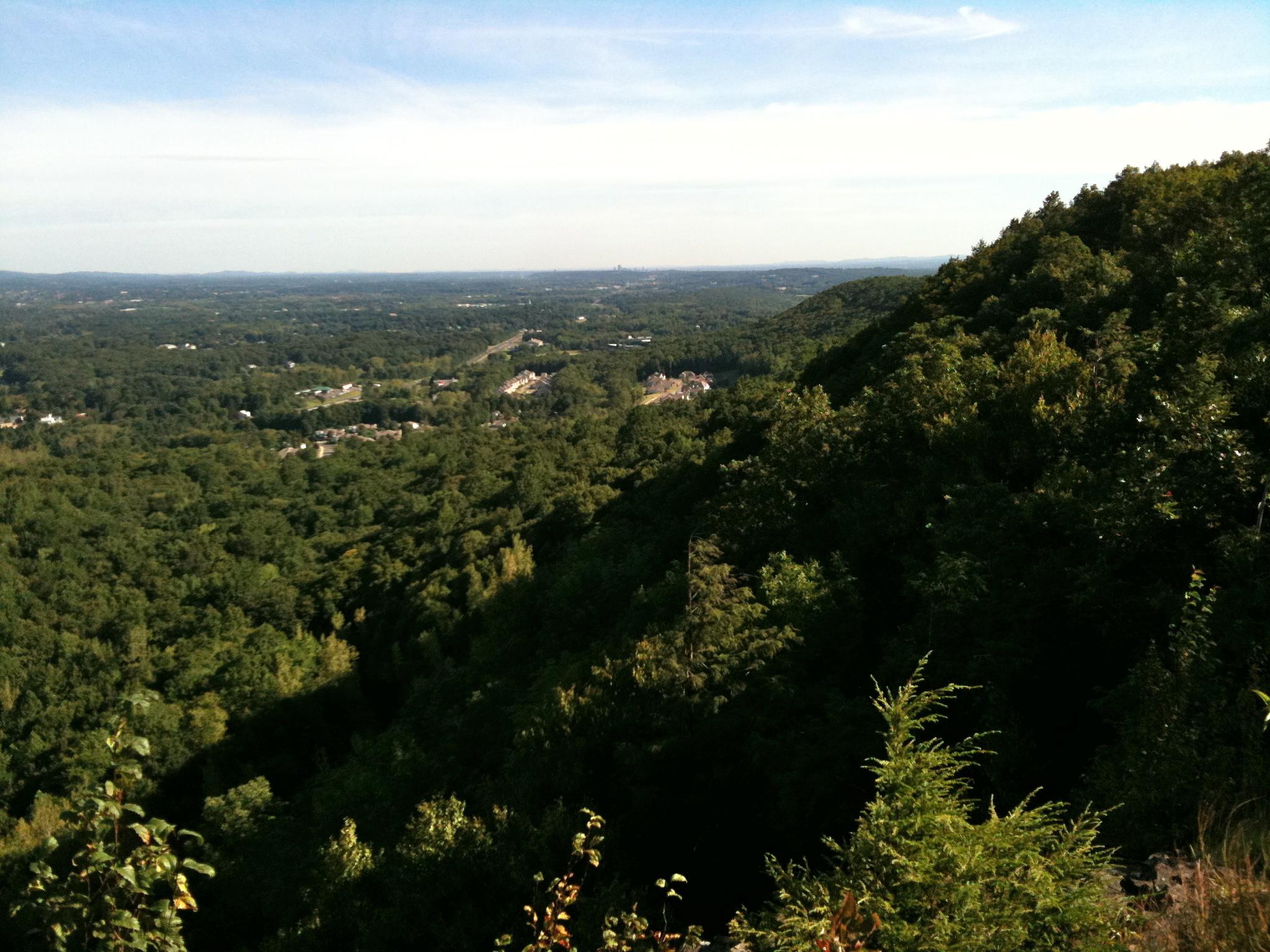 Expansive view of a lush green forest covering rolling hills under a clear sky.