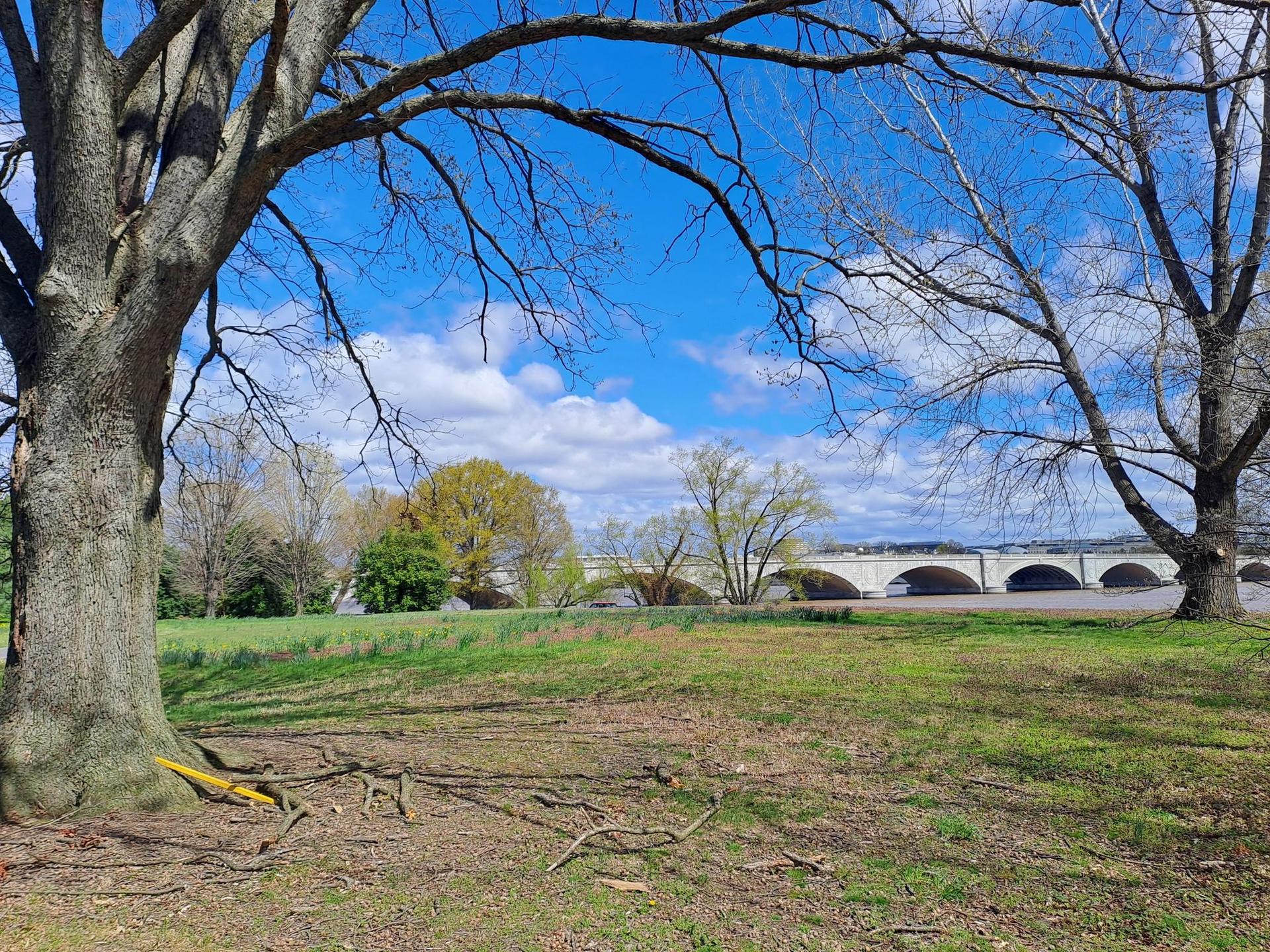 Sunny view of a grassy field framed by trees, with a distant bridge.