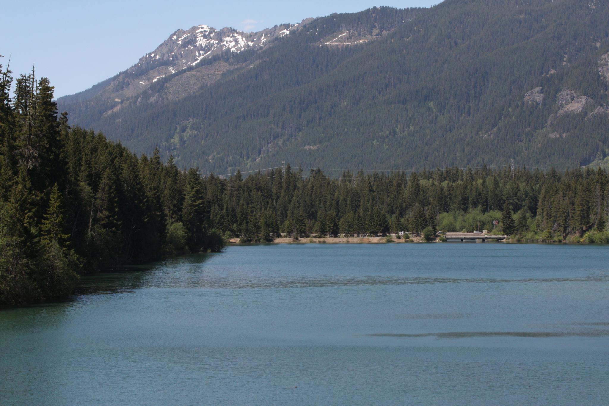 Sunny view of a blue lake, dense forest, and snow-capped mountains.