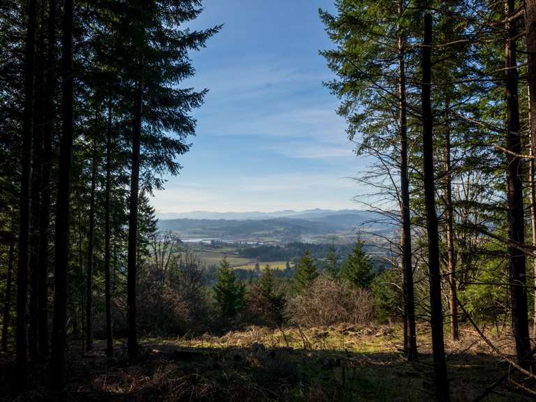 Iowa Hill loop from Dixon Mill Road — Chehalem Ridge Nature Park | hike ...