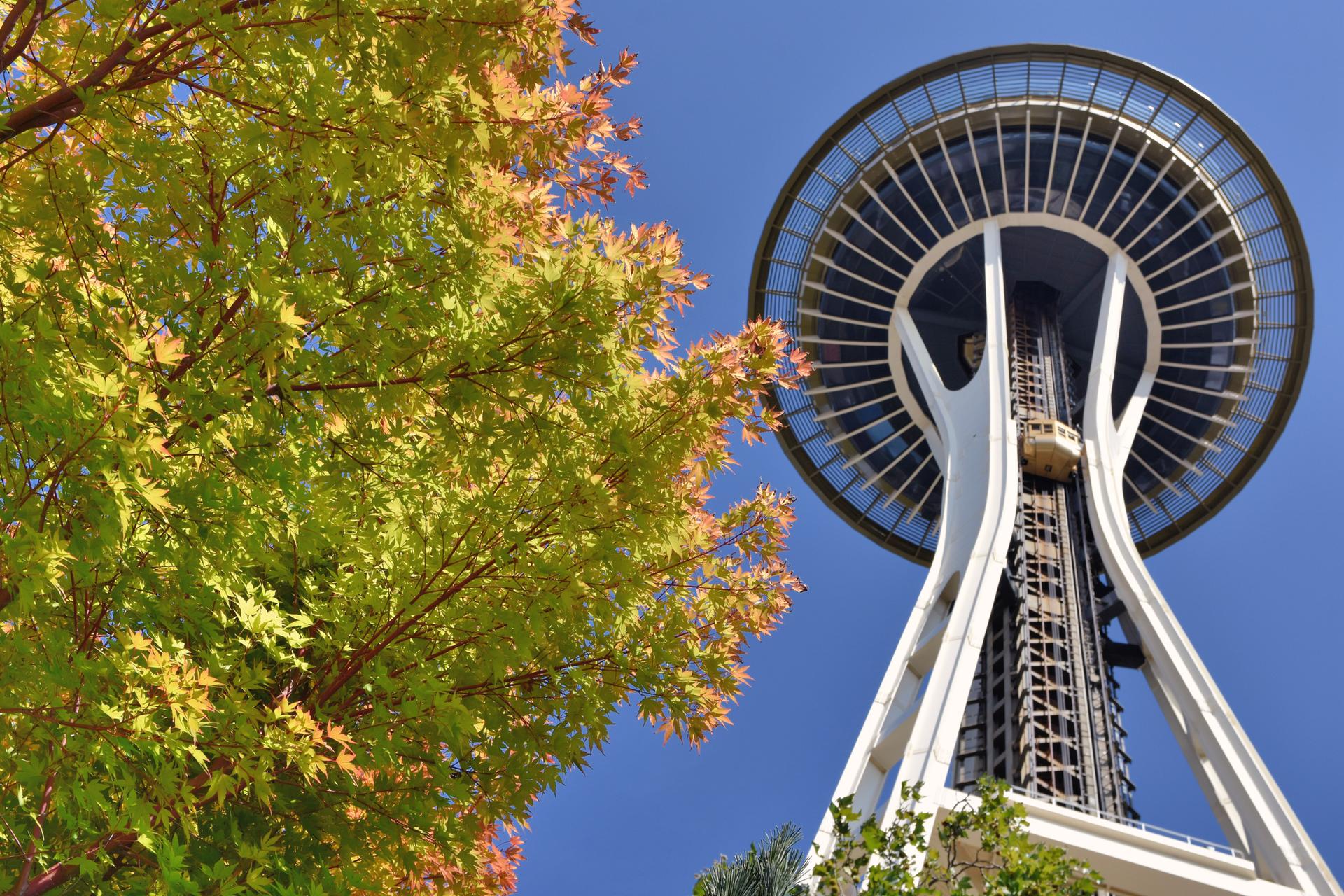 A tall, modern tower next to a tree with green and orange leaves.