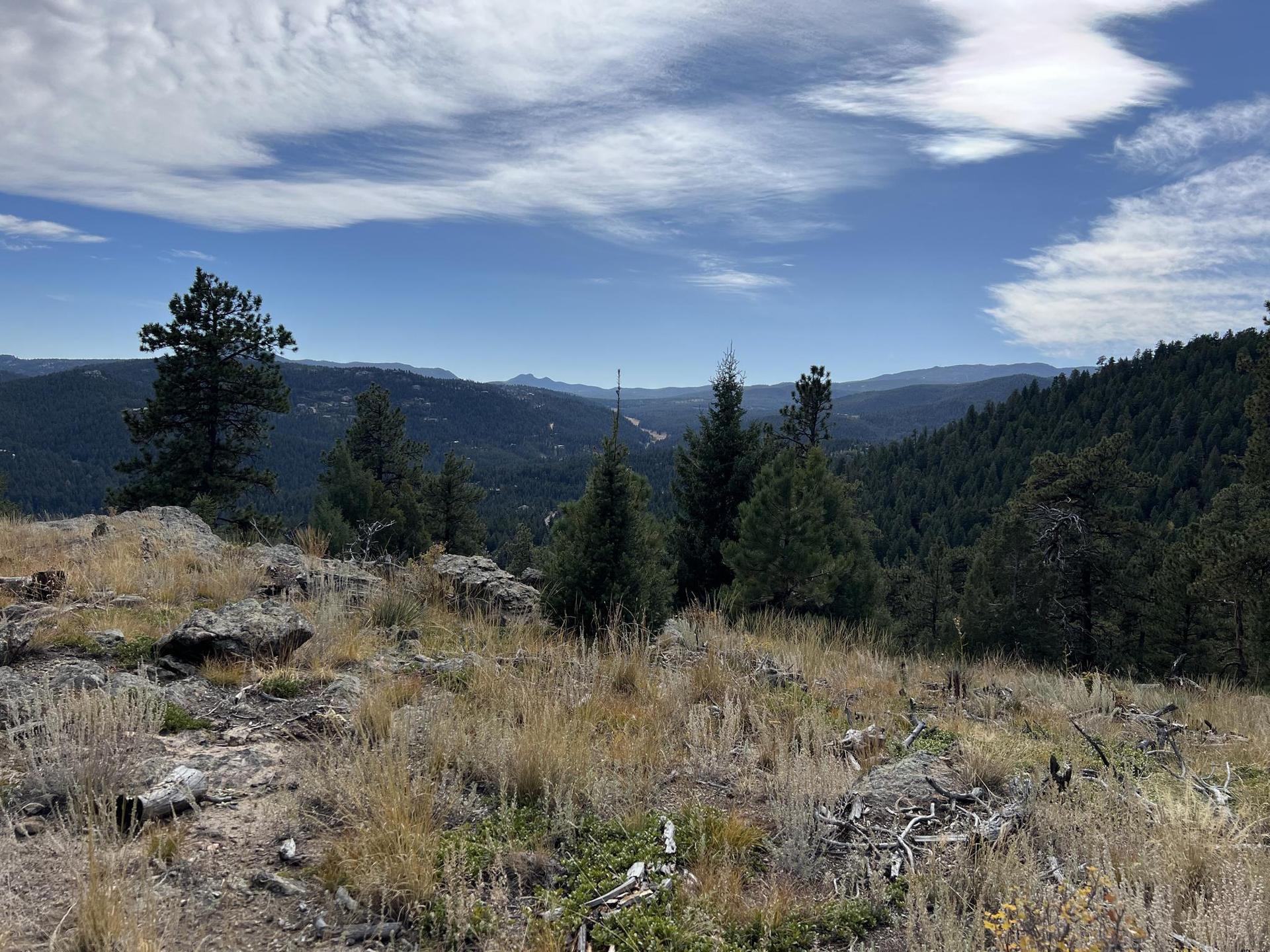 Grassy, rocky hillside overlooking a vast forested mountain landscape.