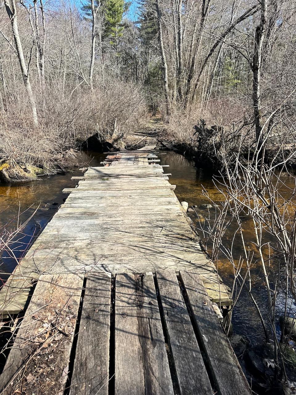 Rustic wooden bridge crossing a narrow stream in a bare forest.