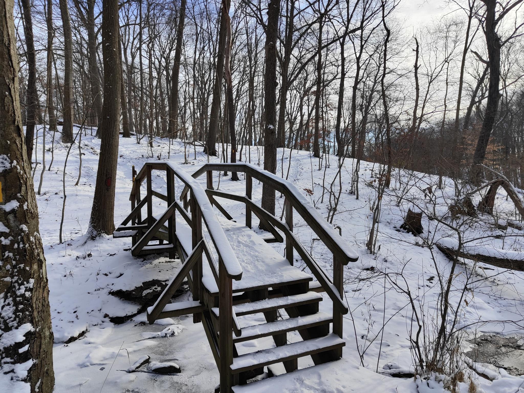 Snow-covered wooden bridge in a winter forest with bare trees.