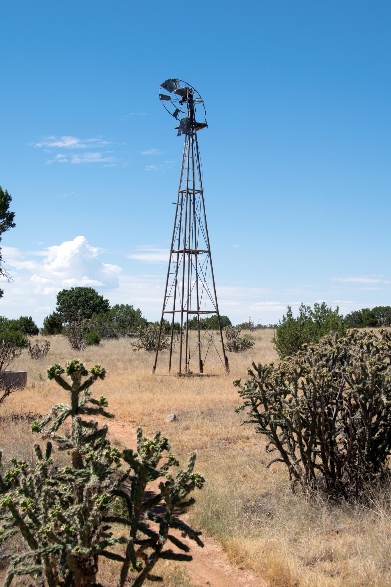 A tall metal windmill stands in a sunny, dry field with cacti and shrubs.