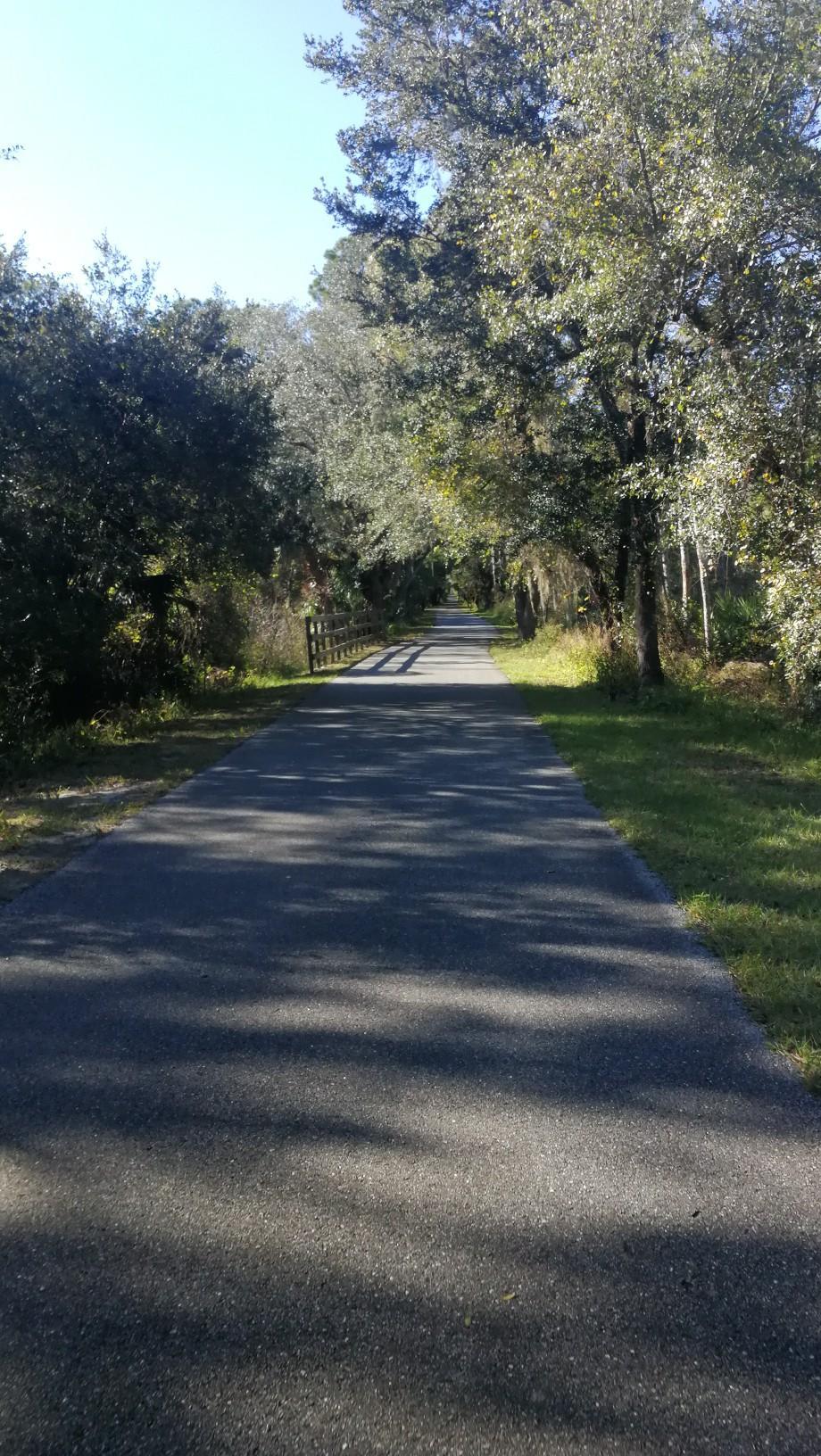Sunny paved path through a forest with dappled shadows.