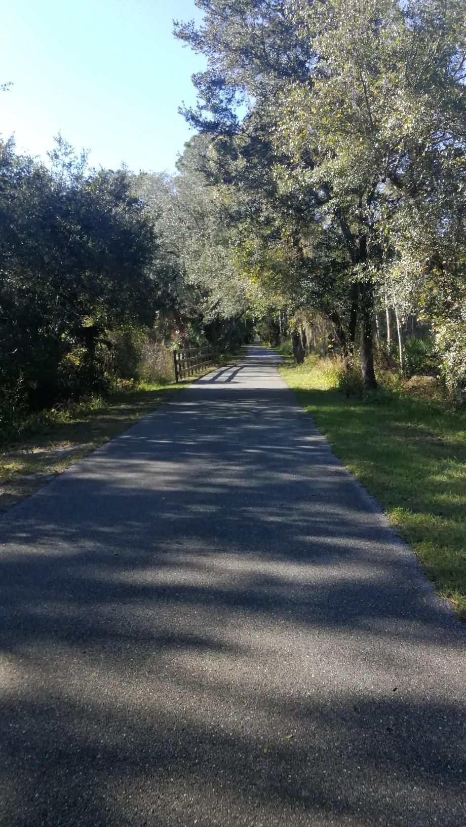 Sunny paved path through a forest with dappled shadows. - Green Springs Park – Veterans Memorial Park Sanford loop from Orange City - Saxon Lot
