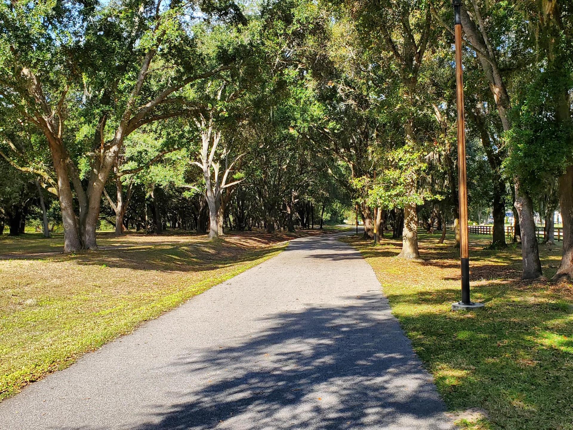 Shaded paved path winding through a dense, green wooded area.