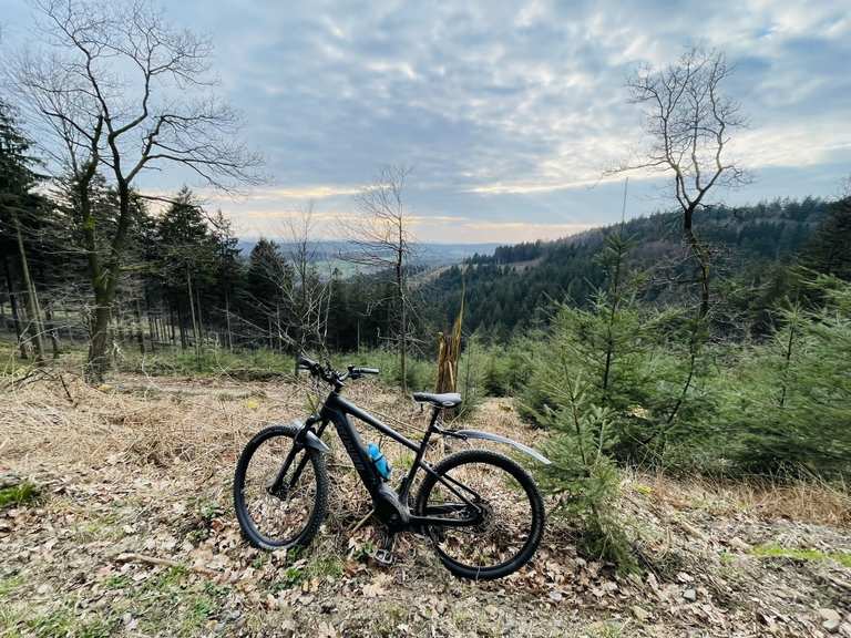 Traul Trail MountainbikeTouren und Trails komoot