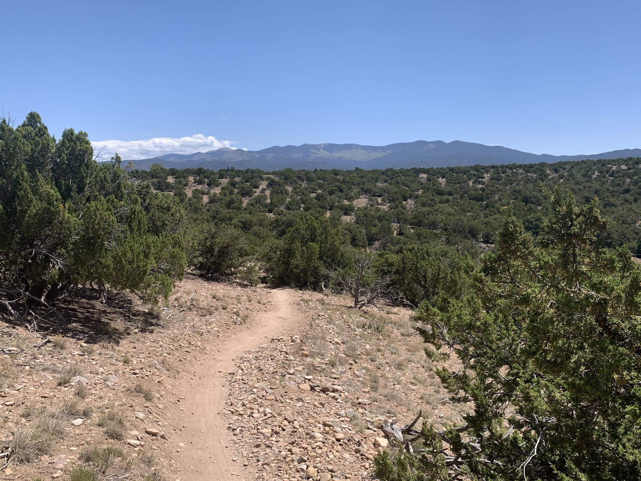 A winding dirt trail leads through scrubland towards distant mountains. - North Boundary #1 #2 loop from KSWV-AM (Santa Fe)