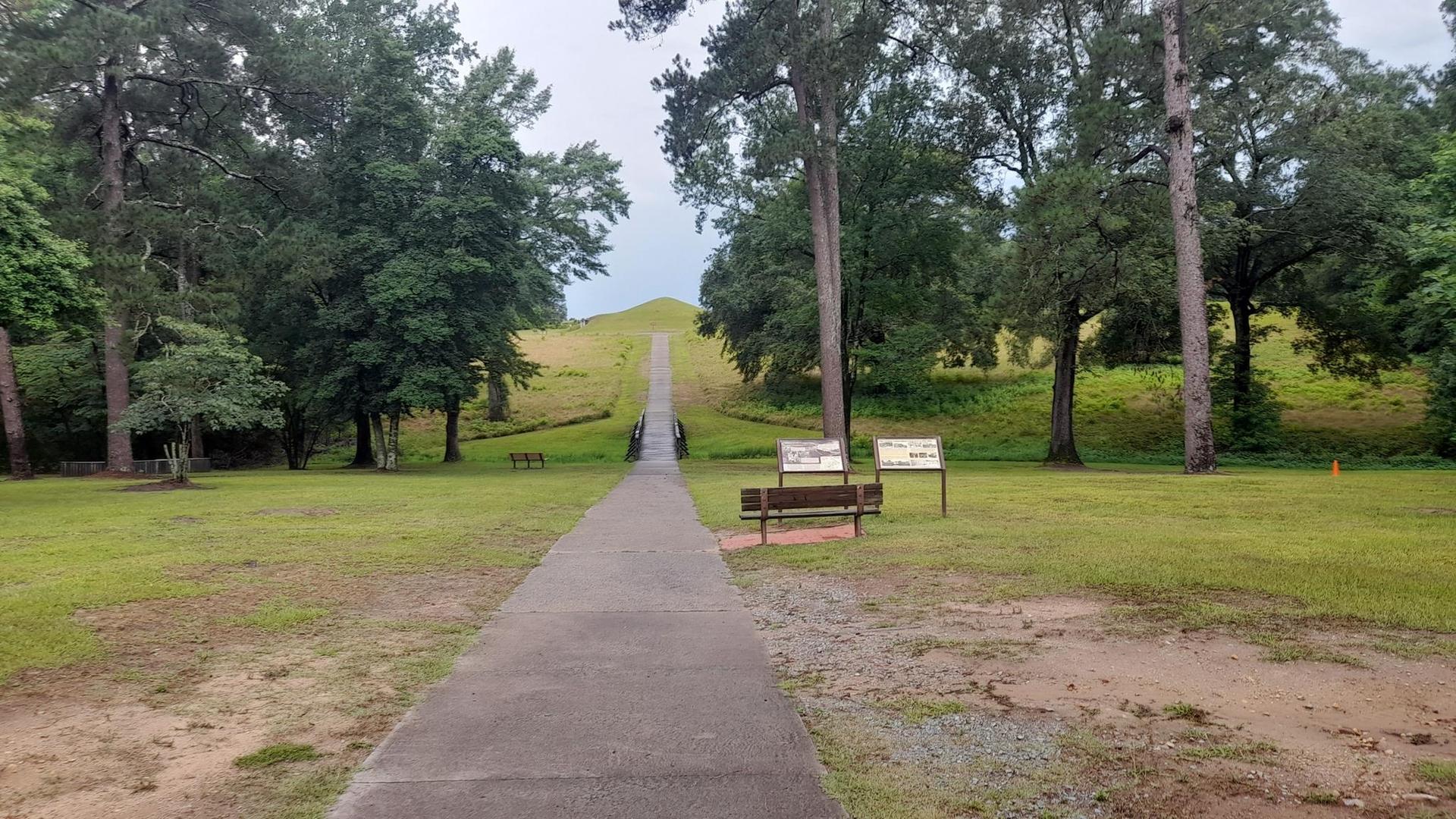 Paved path leading up a grassy mound, surrounded by tall trees.