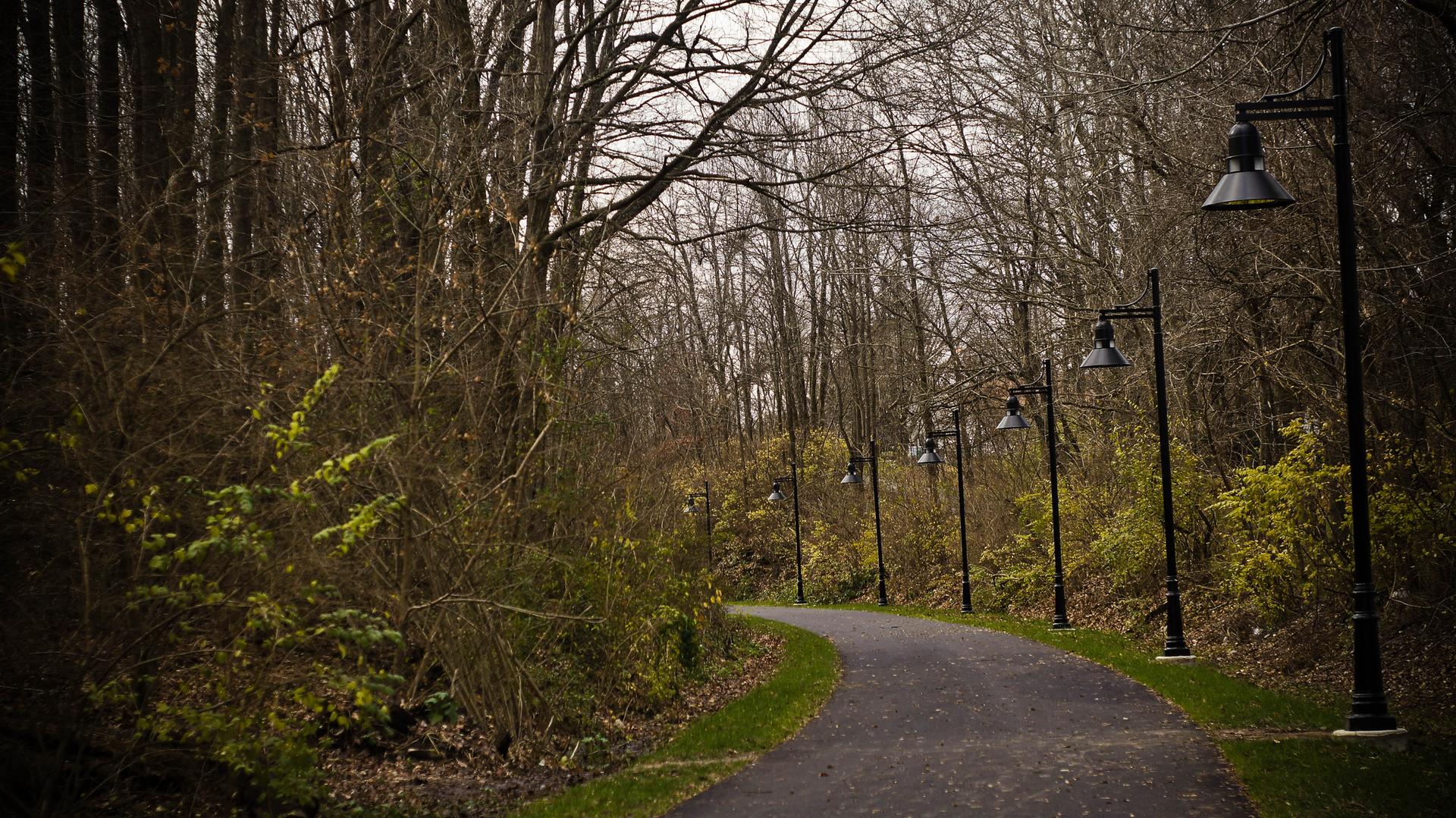 A paved path lined with streetlights through bare trees and green bushes on an overcast day.