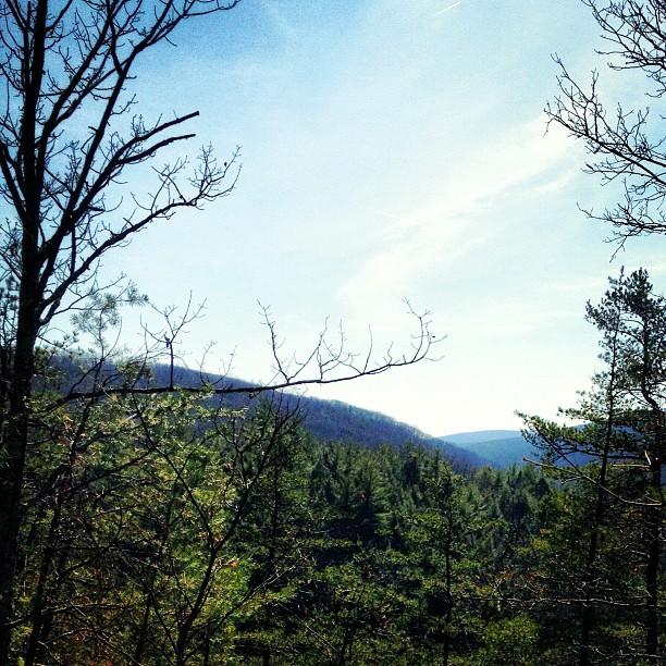 Panoramic view of green forested mountains under a bright blue sky.