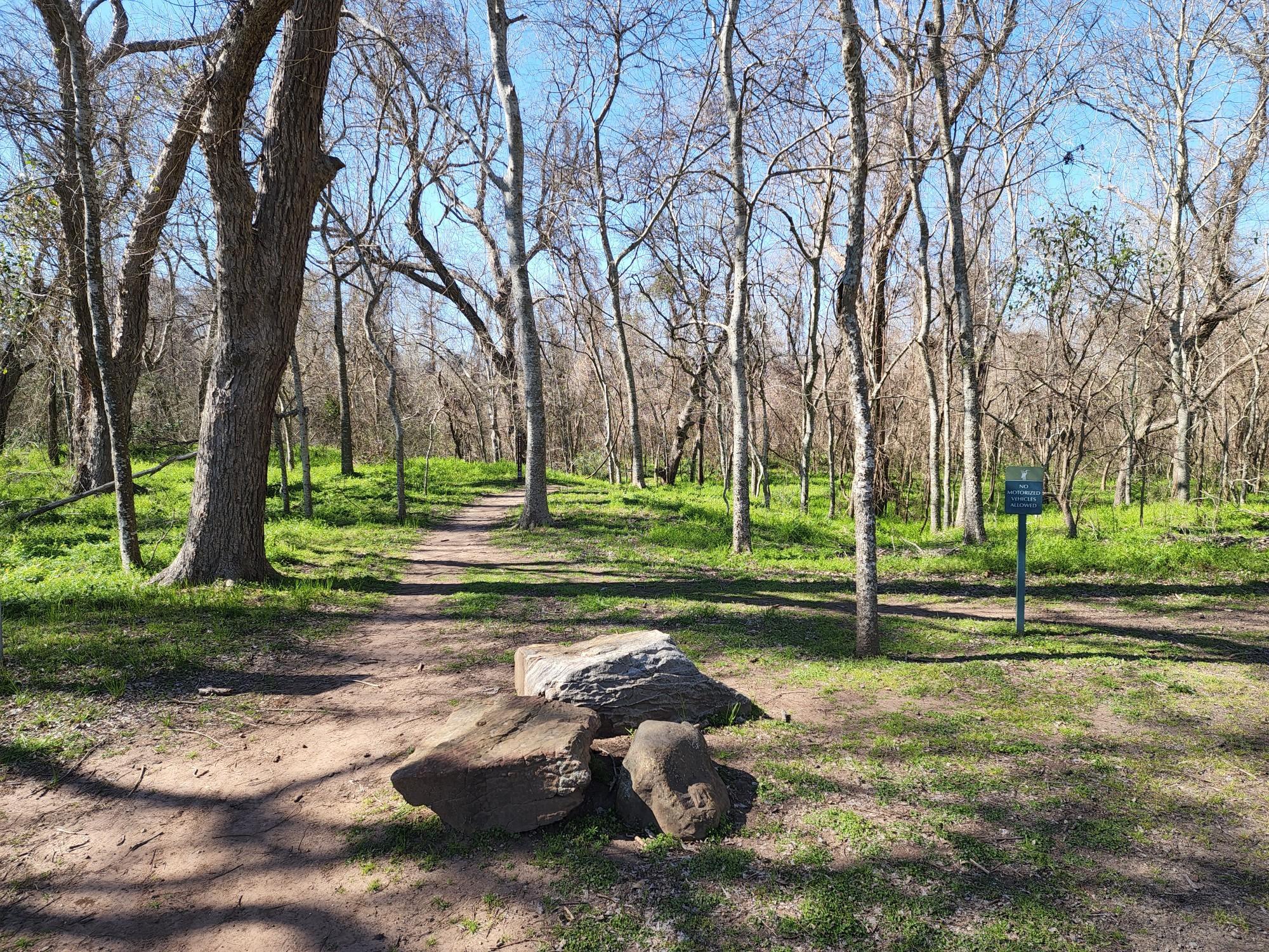 A sunny path through bare trees, with large rocks in the foreground.