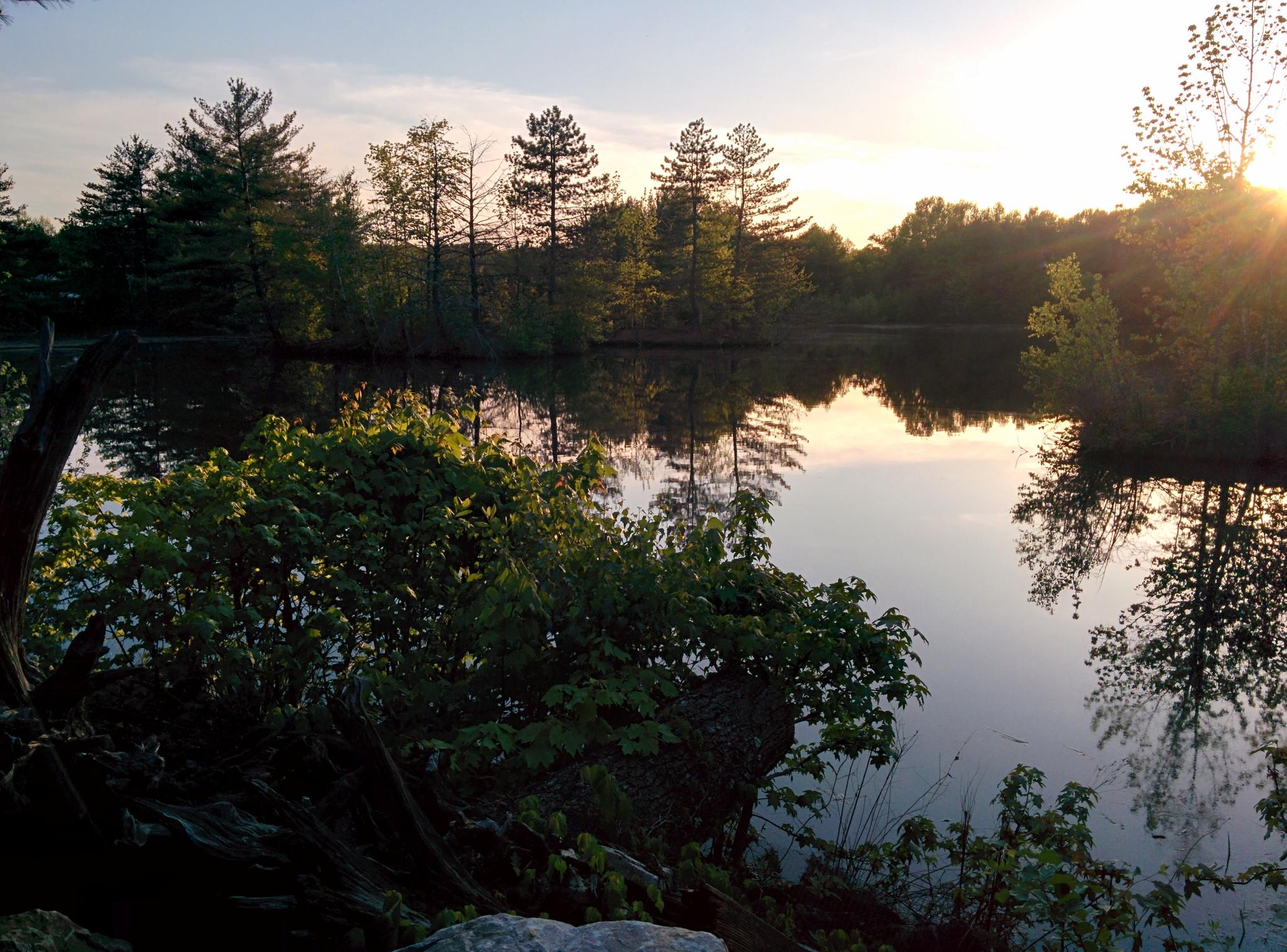 A serene lake reflects trees at sunset, with golden light on the horizon.