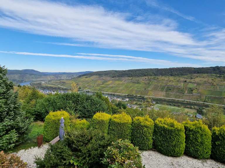 Kapellenweg Reil Moselregion Wanderung Komoot