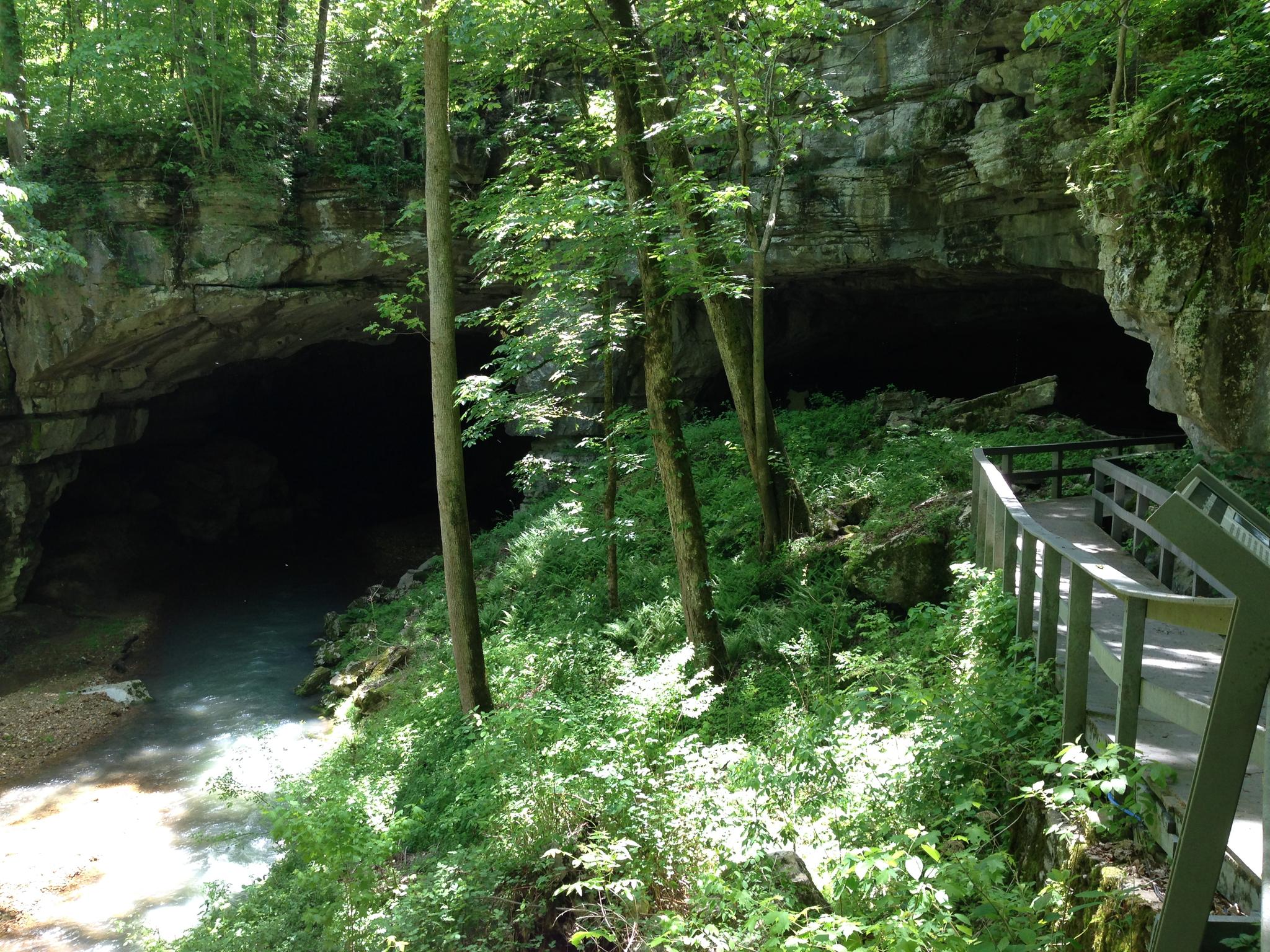 Sunlit cave entrance with a stream, lush greenery, and a wooden boardwalk.