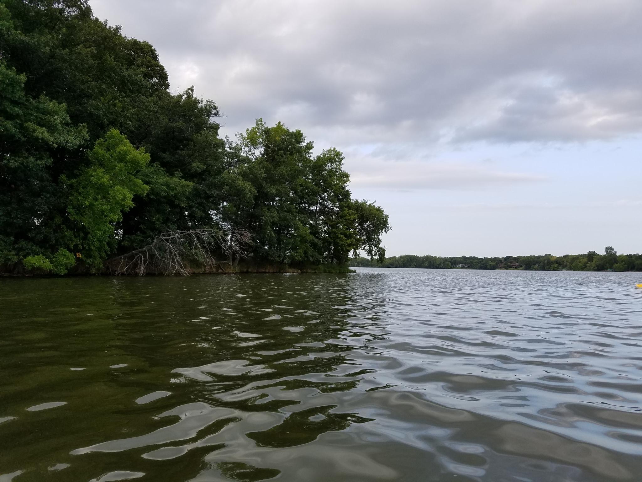 Rippling water next to a dense green forest under an overcast sky.