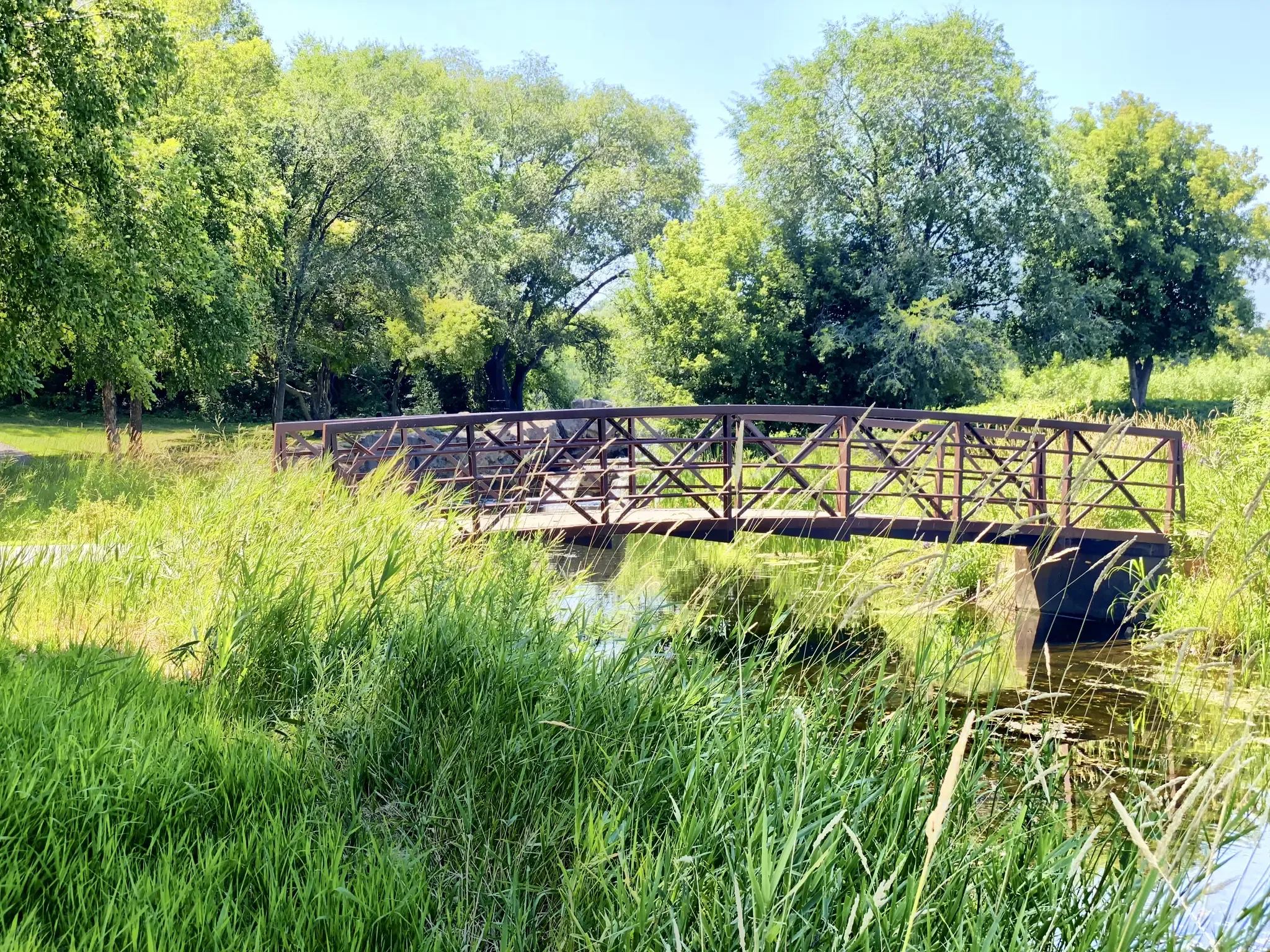 Metal bridge over a narrow stream, surrounded by tall green grass and trees. - Lake Normandale Loop Trail