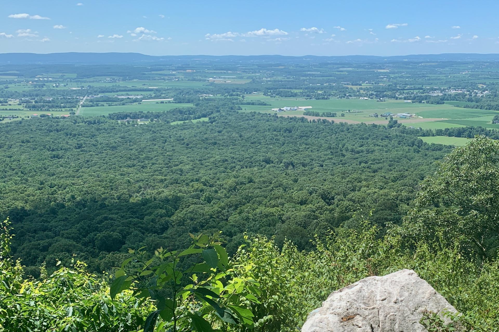Overlook of lush green forests and distant fields on a clear, sunny day.