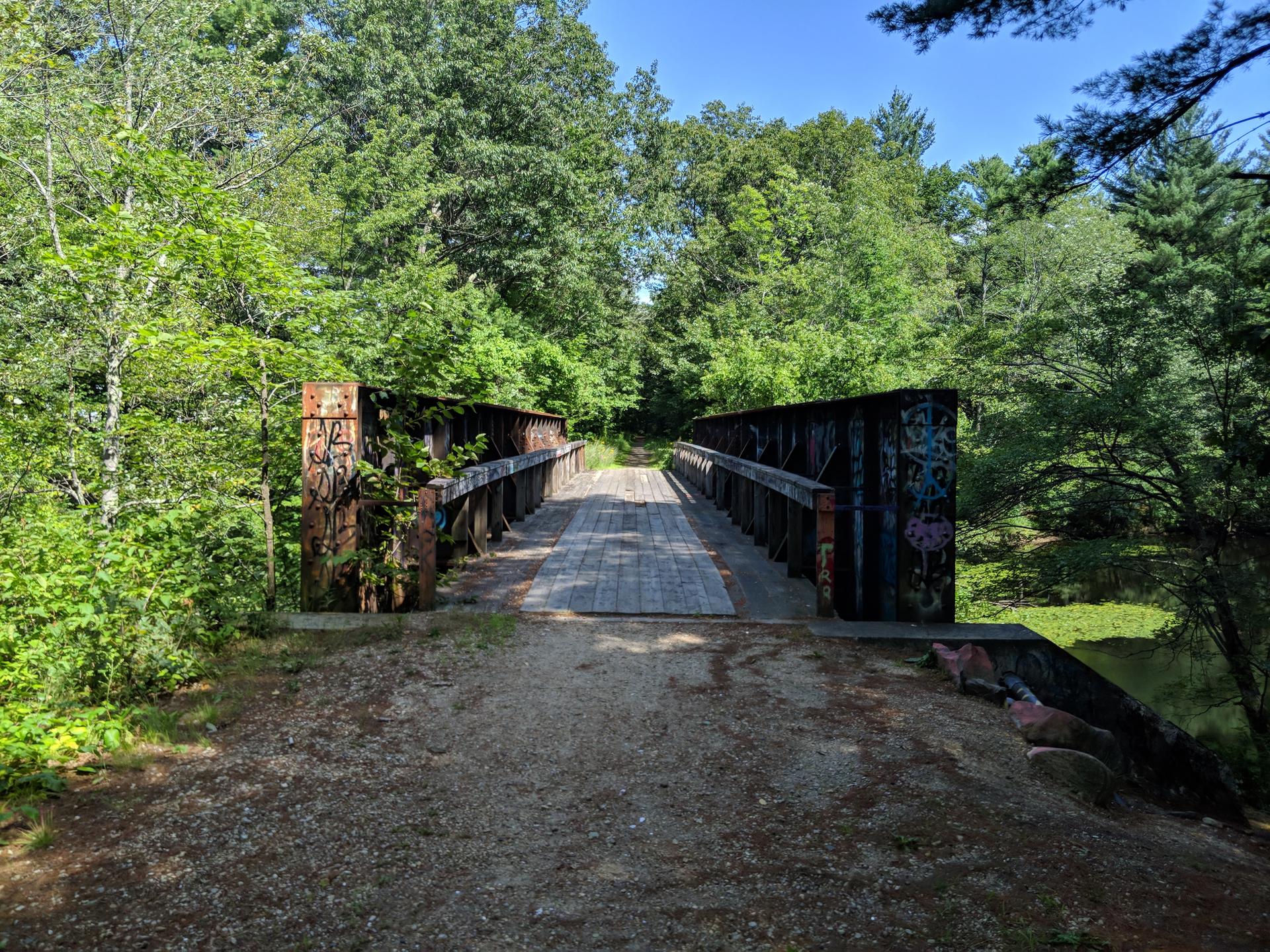 Rustic metal bridge with graffiti, surrounded by lush green forest on a sunny day.