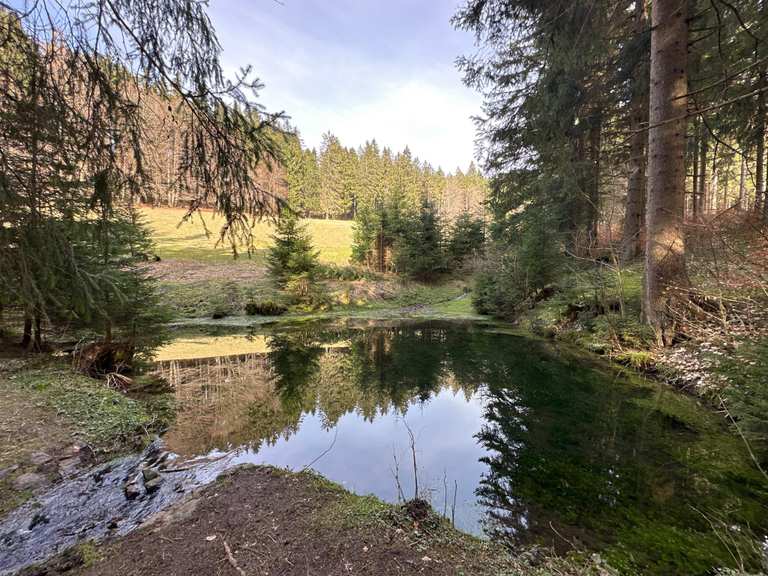 Blick auf Teich mit gemütlichem Pausenplatz ☺️ Wanderungen und