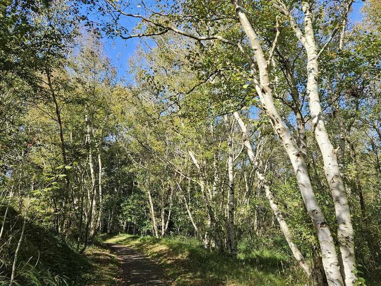 Naturschutzgebiet Greune Stee – Wander- & Radrouten | Komoot