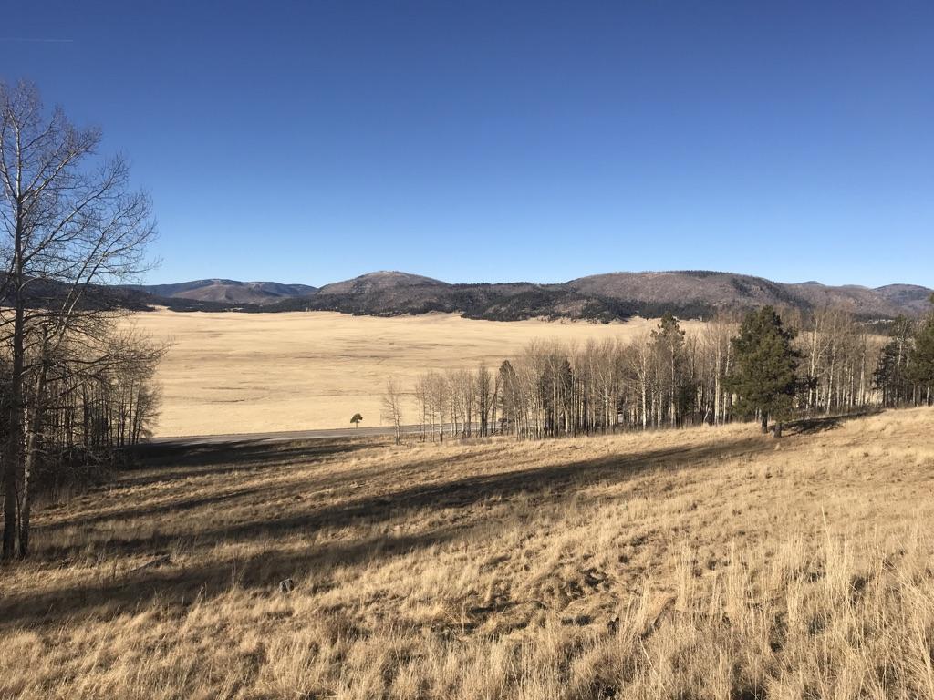 Sunny wide view of a dry grass valley with trees and distant mountains.