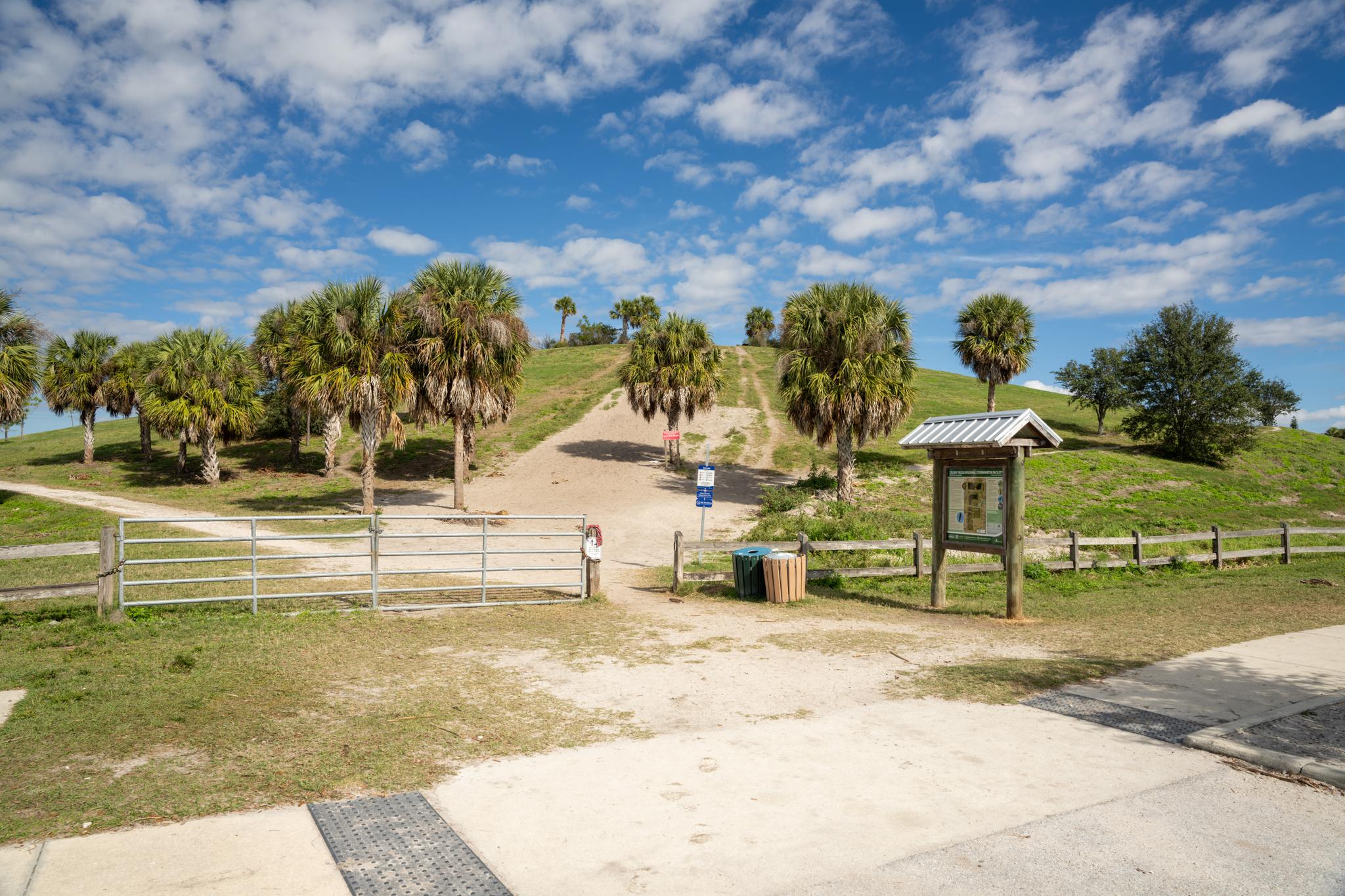 Sunny view of a park entrance with palm trees on grassy hills.