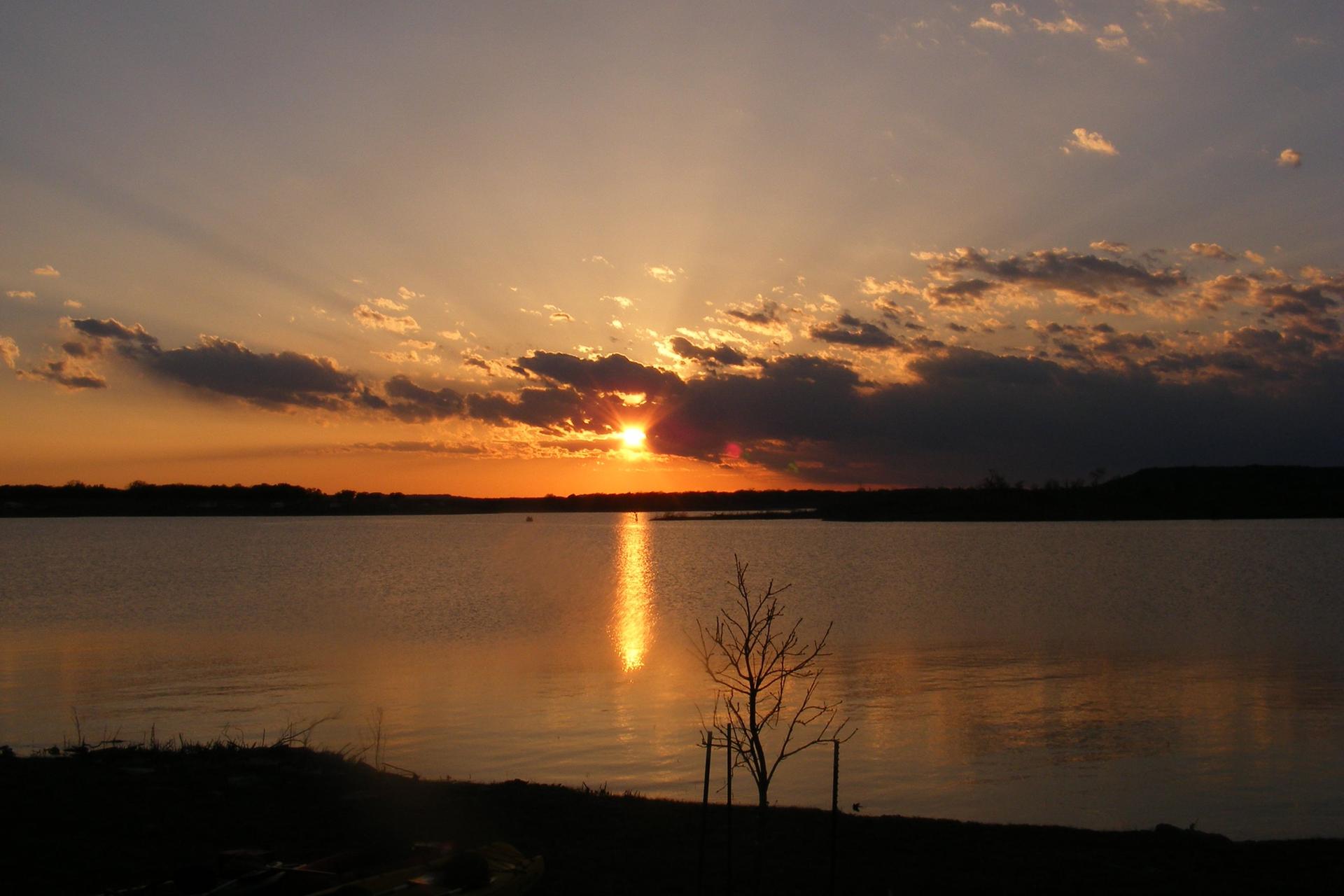 Golden sunset over a calm lake with a silhouetted tree in the foreground.