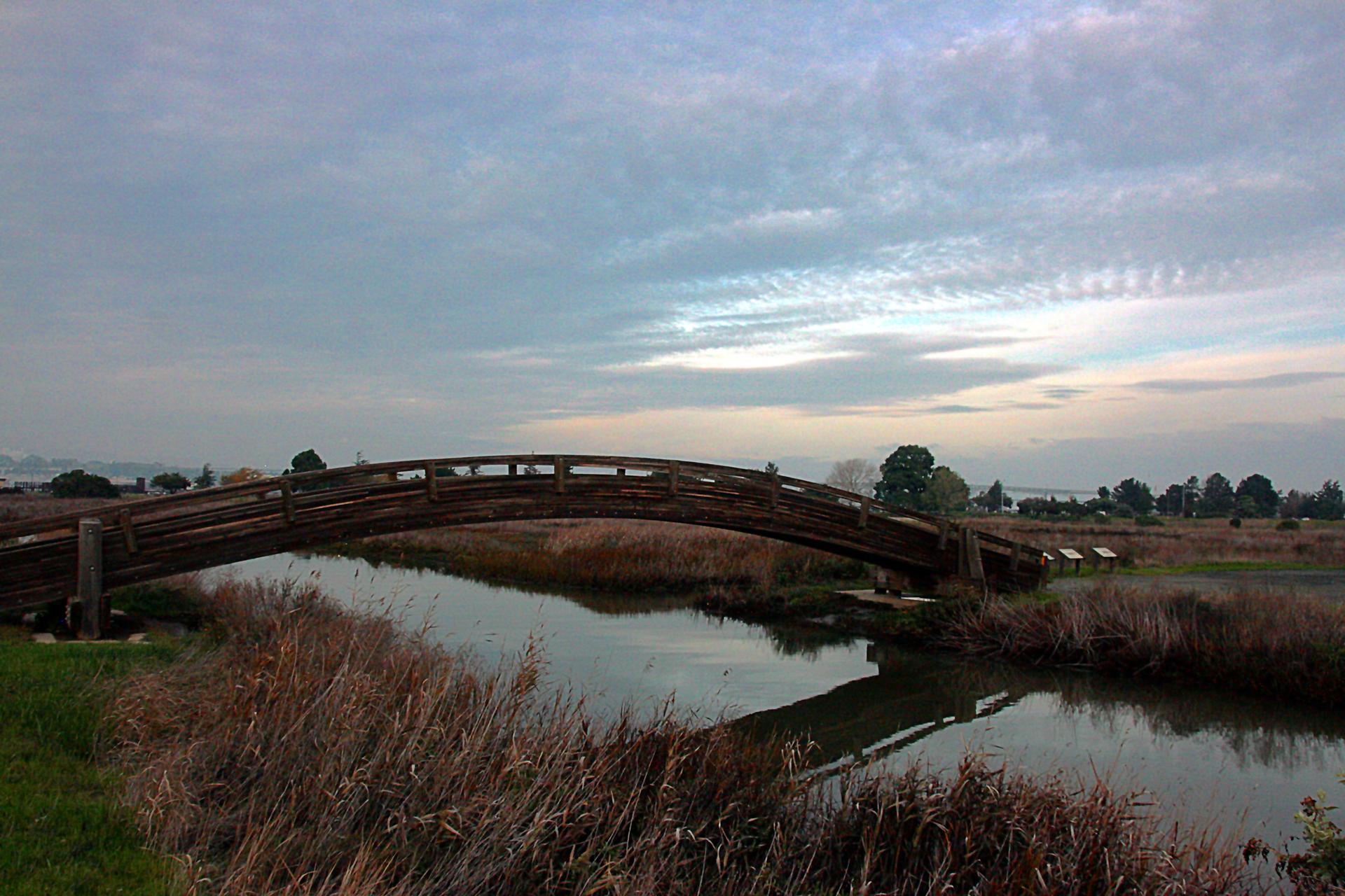 Arched wooden bridge over water in a marshy landscape at dusk.