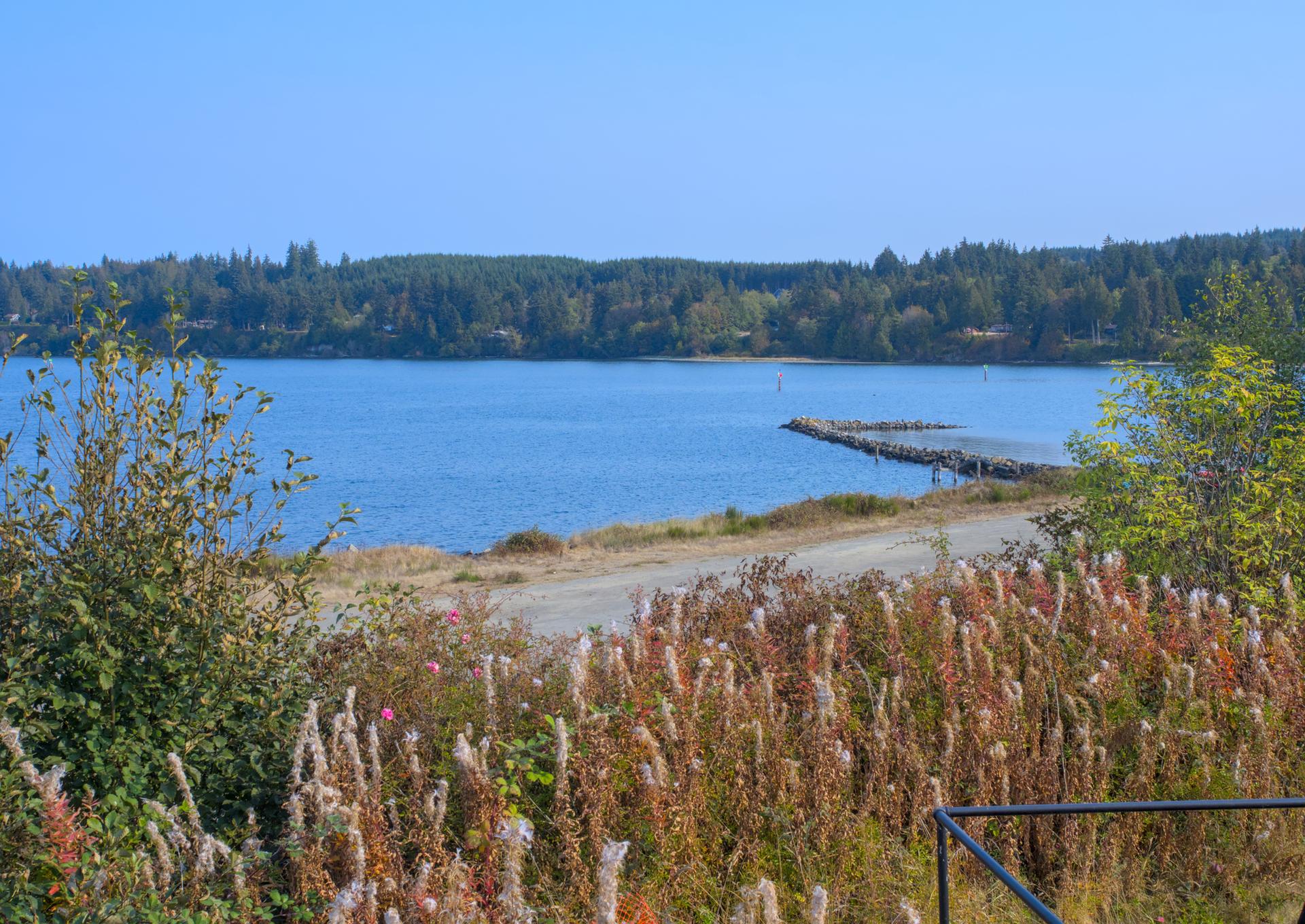 Blue water with a pier, distant forest, and tall foreground grasses on a clear day.