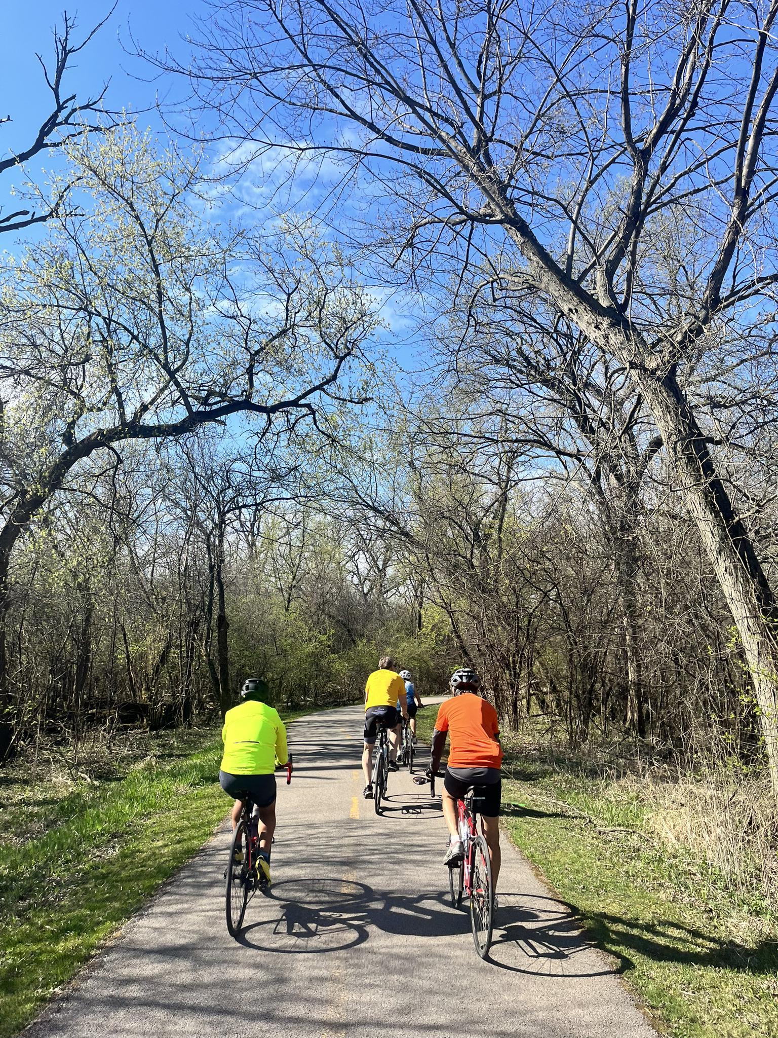 Group of cyclists on a paved path through a forest on a sunny day.