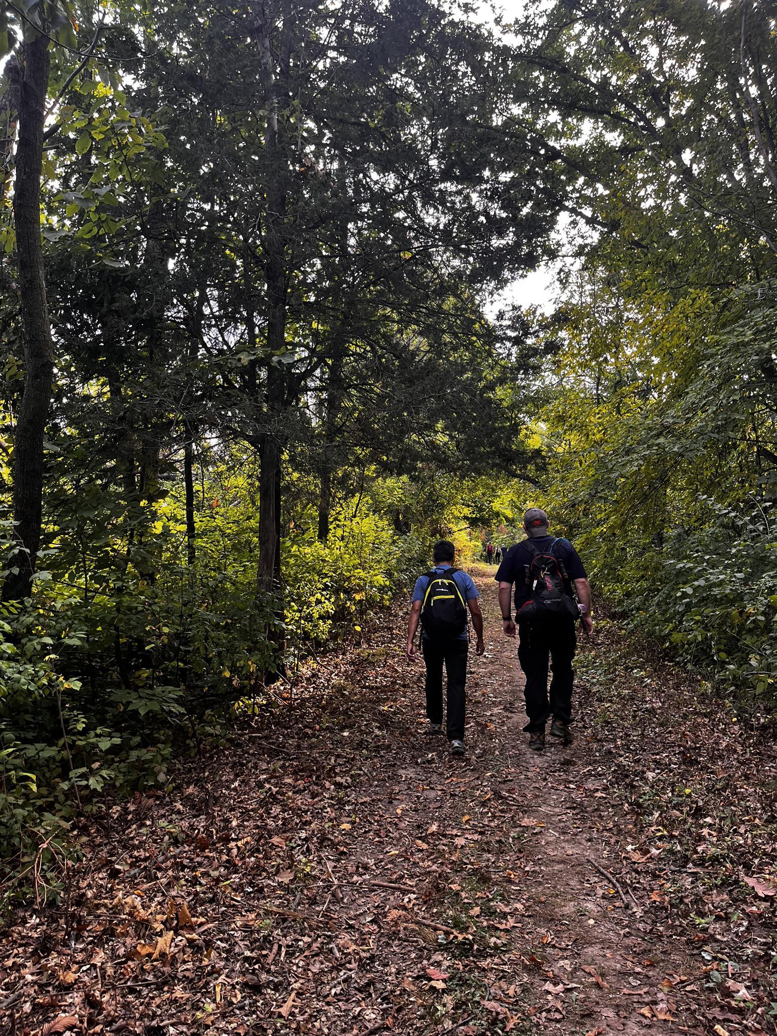 Two people hike on a leaf-covered trail through a dense, green forest.