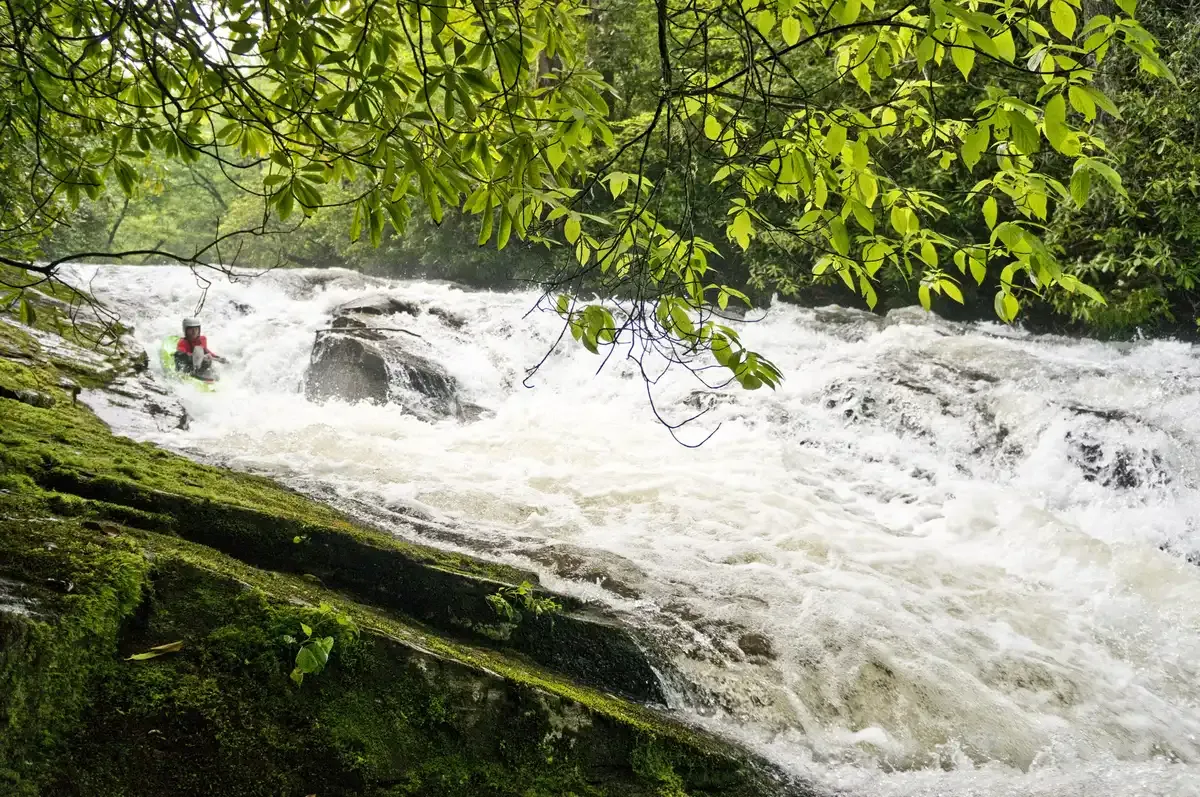 A kayaker navigates turbulent whitewater rapids surrounded by lush green foliage. - Turkey Pen Gap and South Mills River Trail Loop