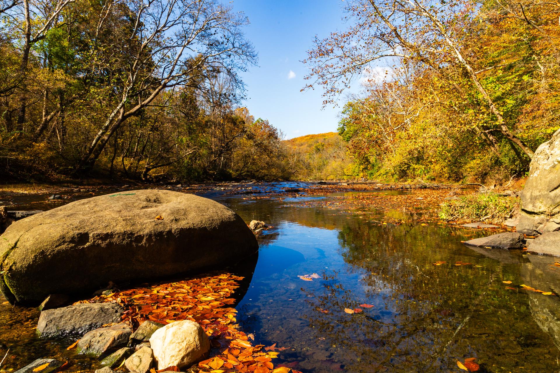 Clear river flowing past a large rock and vibrant autumn trees.