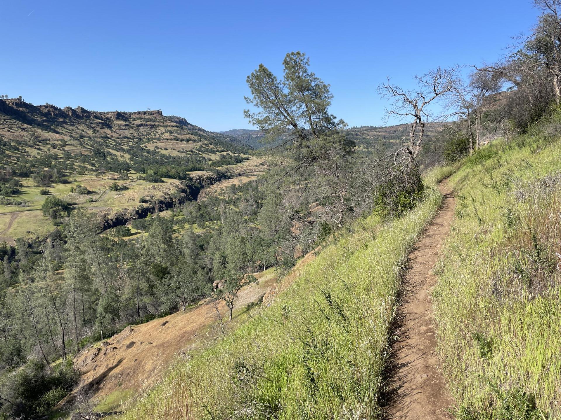 Narrow dirt trail on a grassy hillside overlooking a valley with trees.