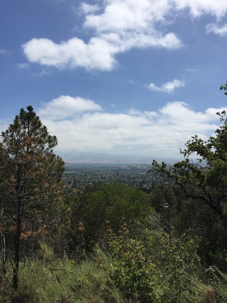 Sunny day with blue sky and clouds over a city view through trees.