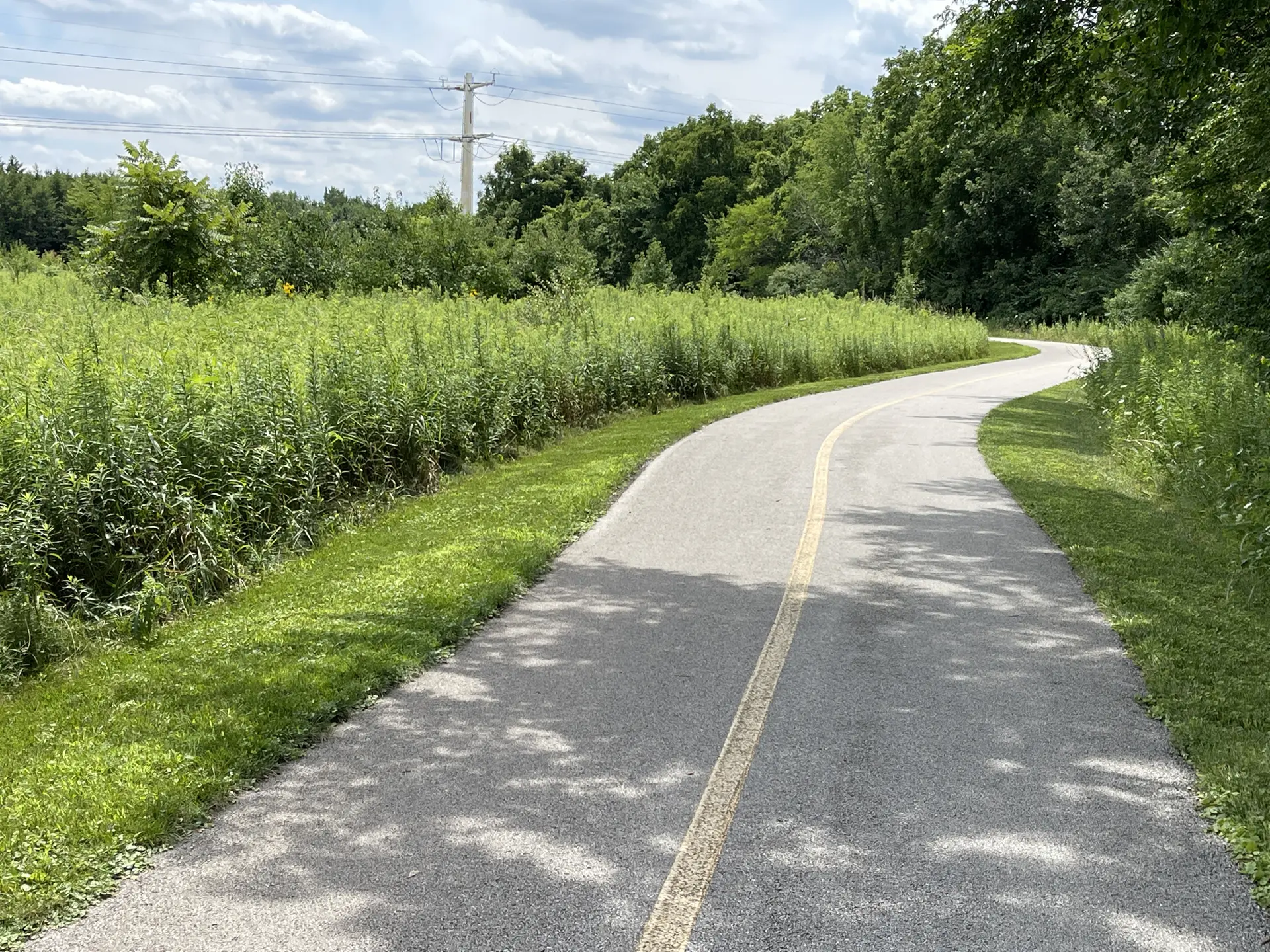 Paved path with yellow line winding through green fields under cloudy sky.