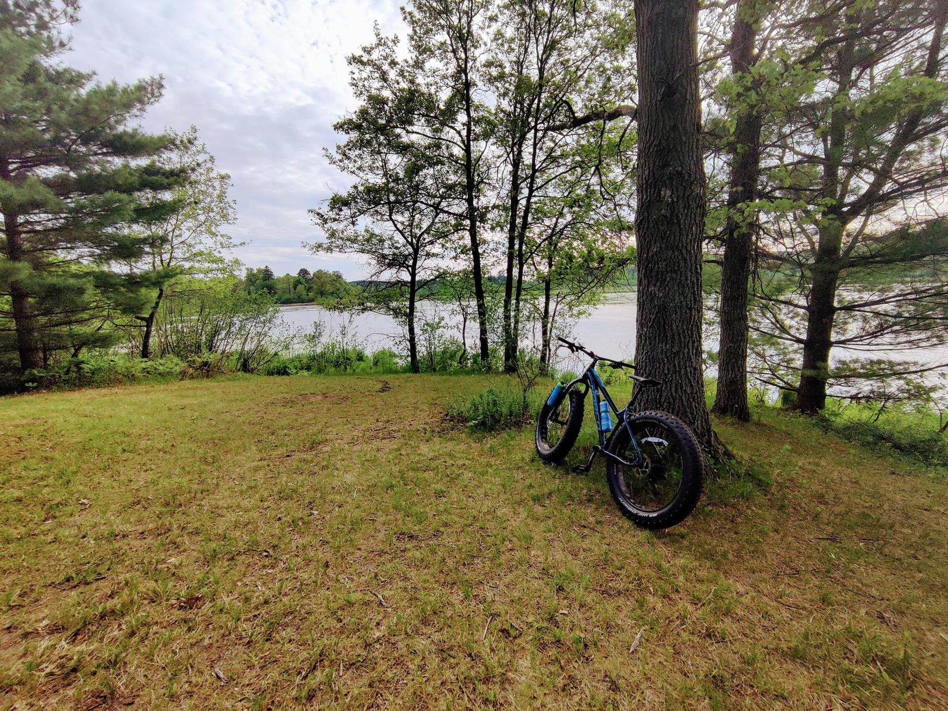 A blue fat-tire bike rests by trees overlooking a calm lake under an overcast sky.